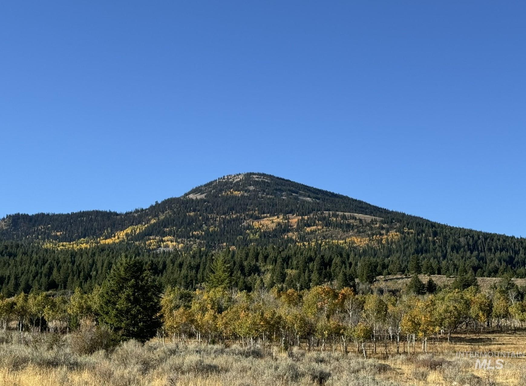 View of mountain backdrop featuring a heavily wooded area