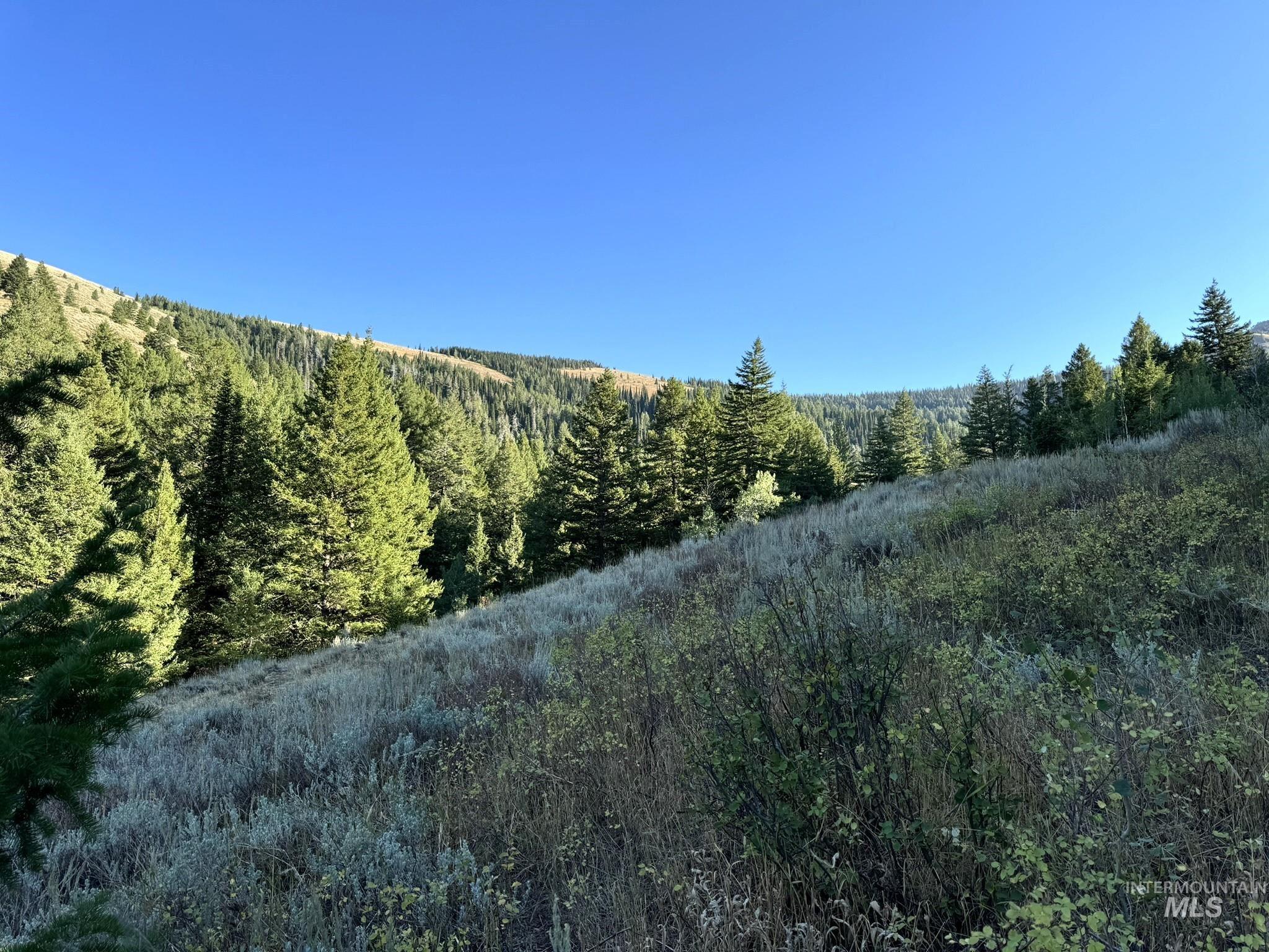 1200 S Lands Creek Road, Albion, Idaho 83311, Land For Sale, Price $16,400,000, 98955576