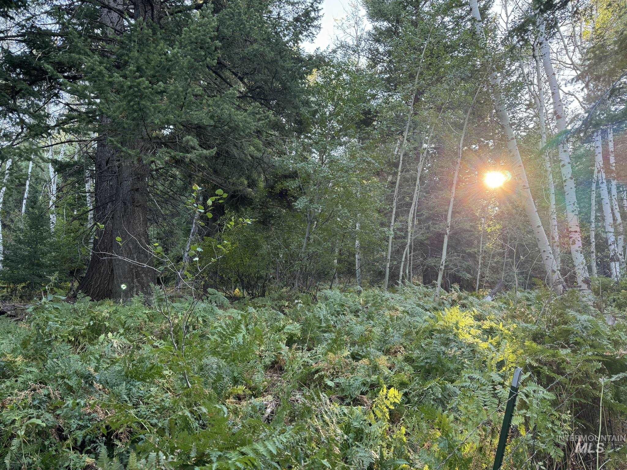 1200 S Lands Creek Road, Albion, Idaho 83311, Land For Sale, Price $16,400,000, 98955576