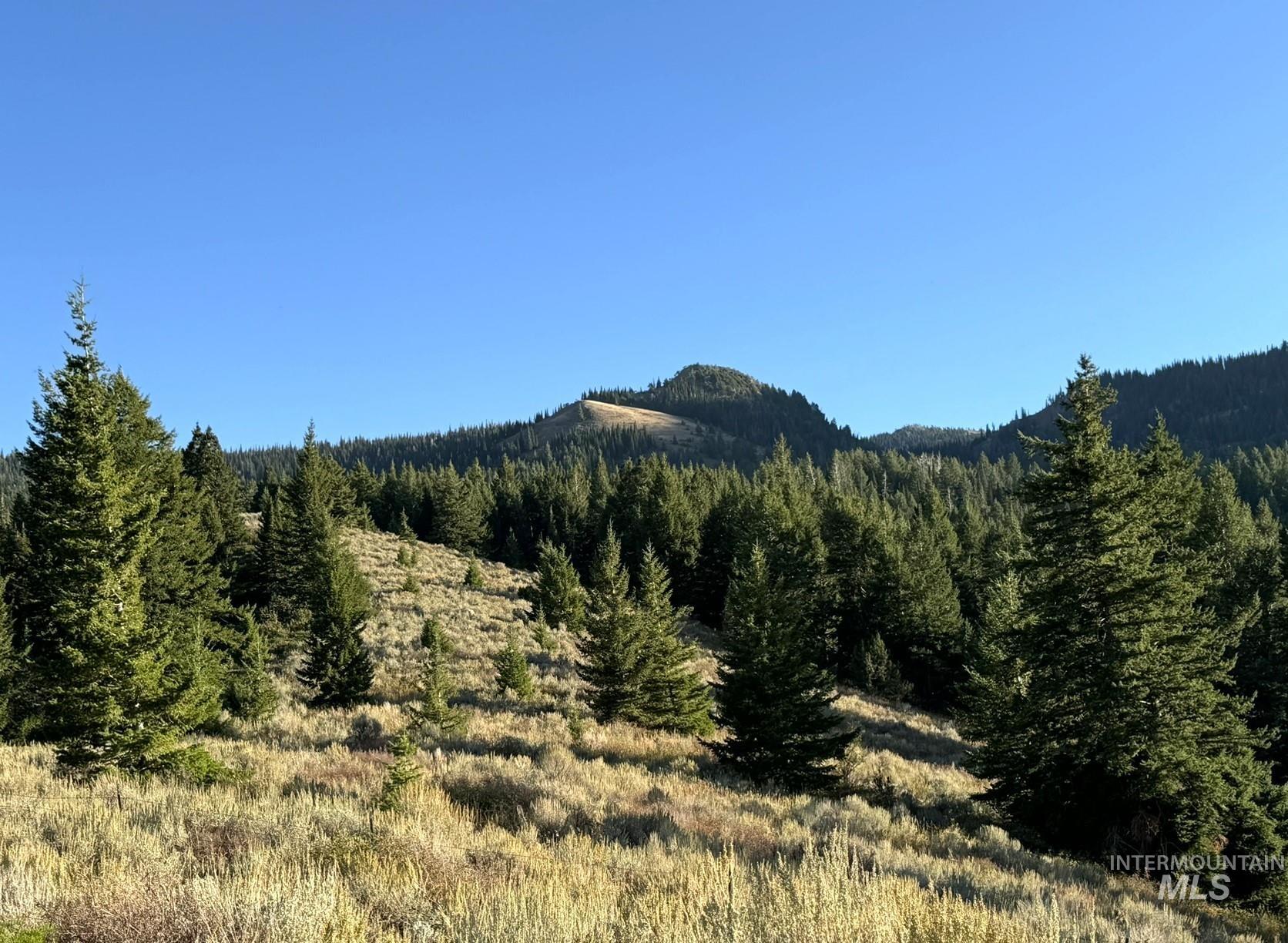 1200 S Lands Creek Road, Albion, Idaho 83311, Land For Sale, Price $16,400,000, 98955576