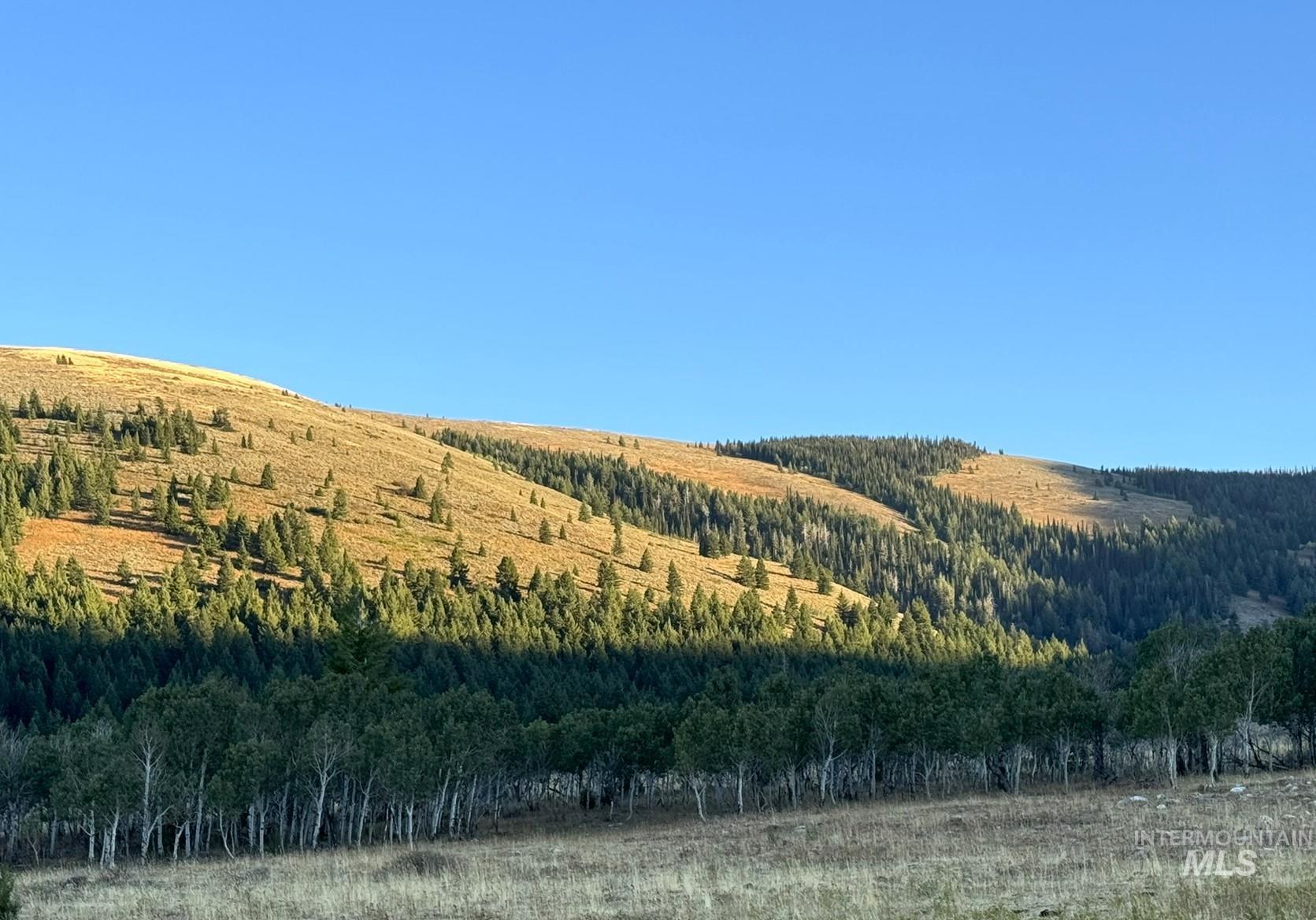 1200 S Lands Creek Road, Albion, Idaho 83311, Land For Sale, Price $16,400,000, 98955576