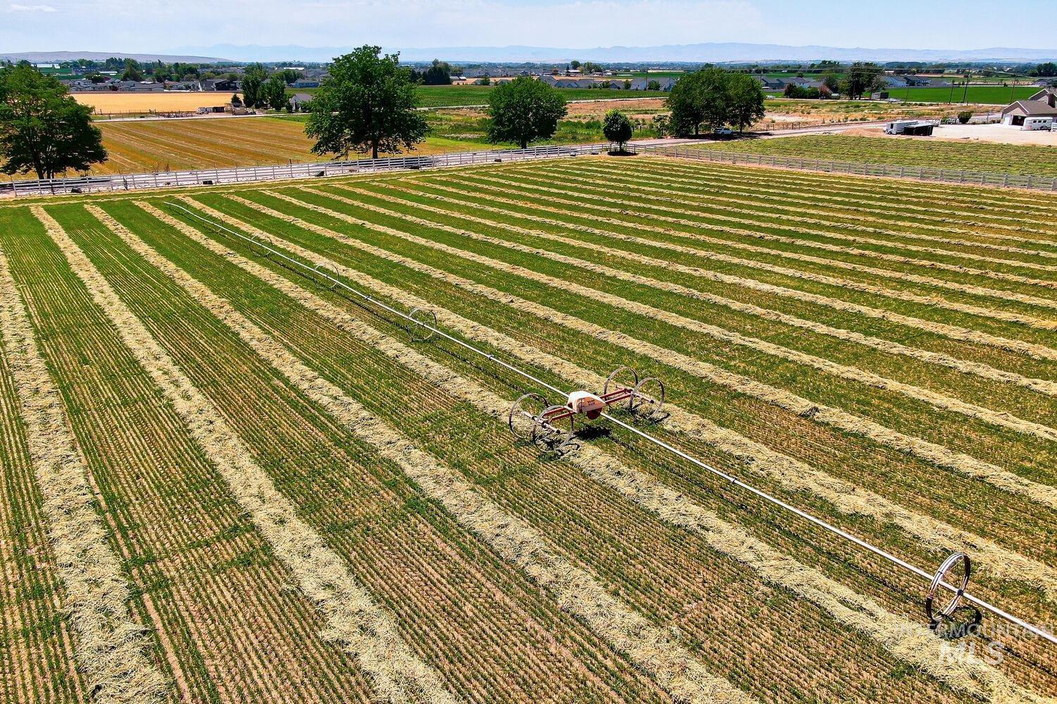 View of rural area featuring rows of crops