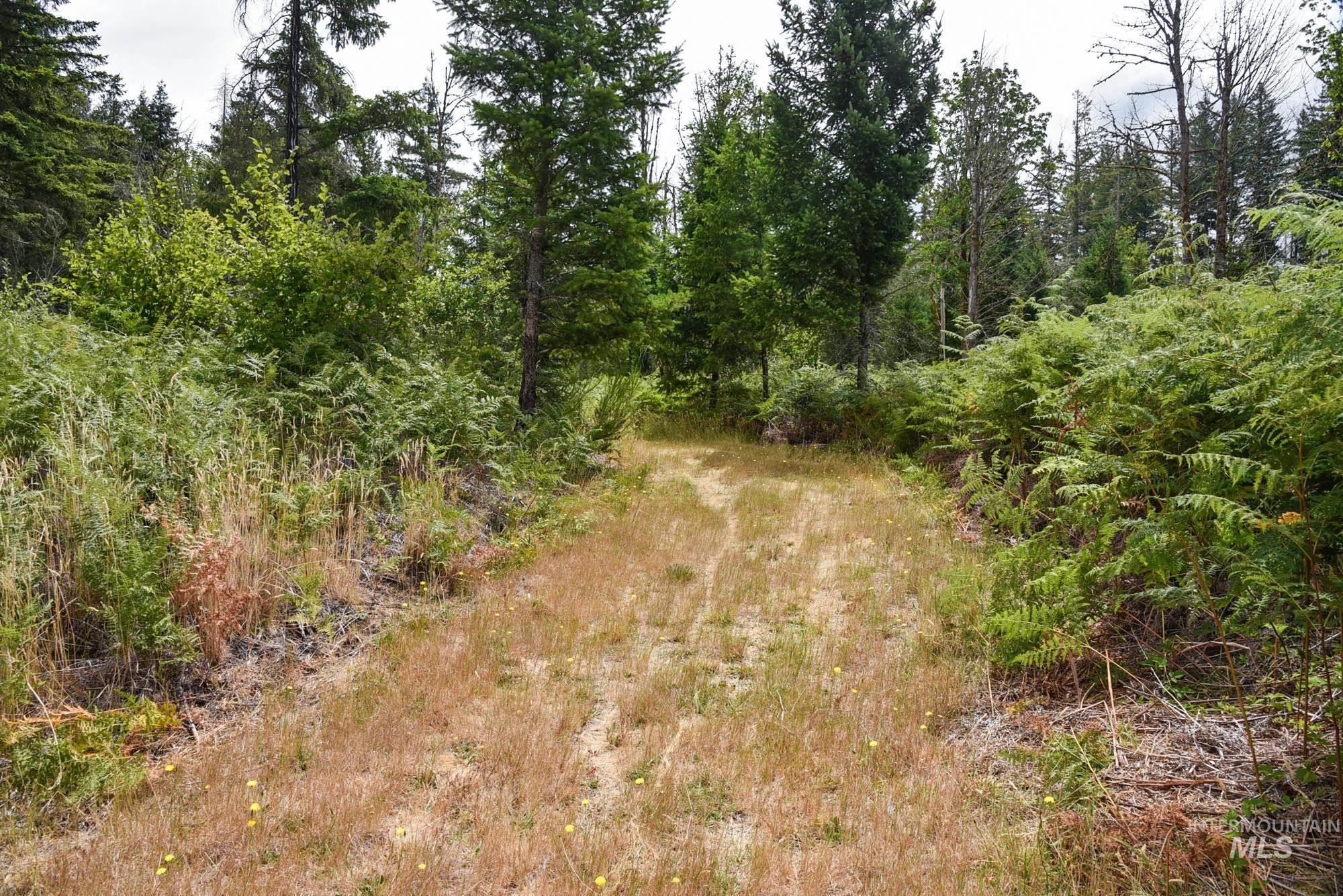 View of undeveloped land