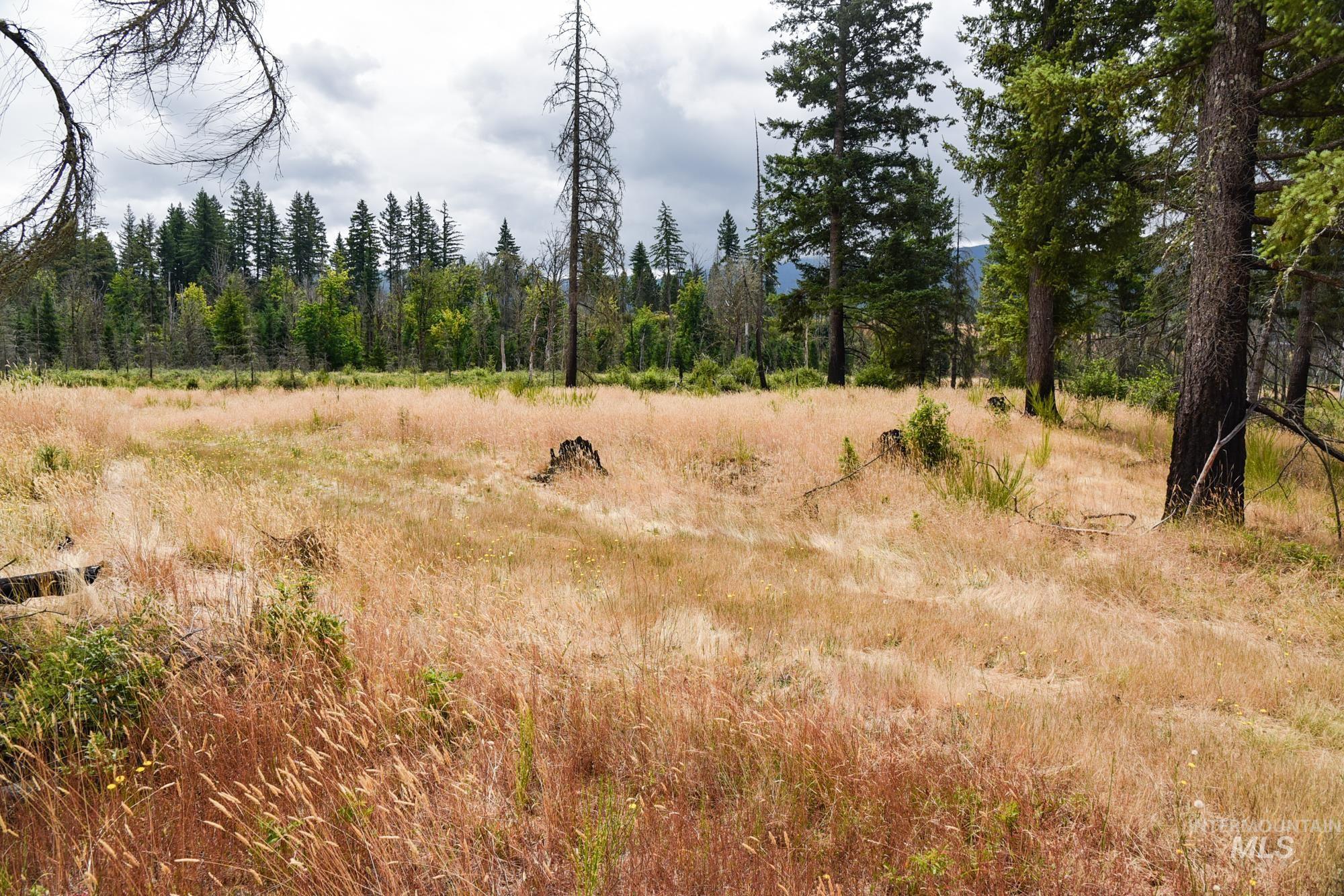 View of wooded area