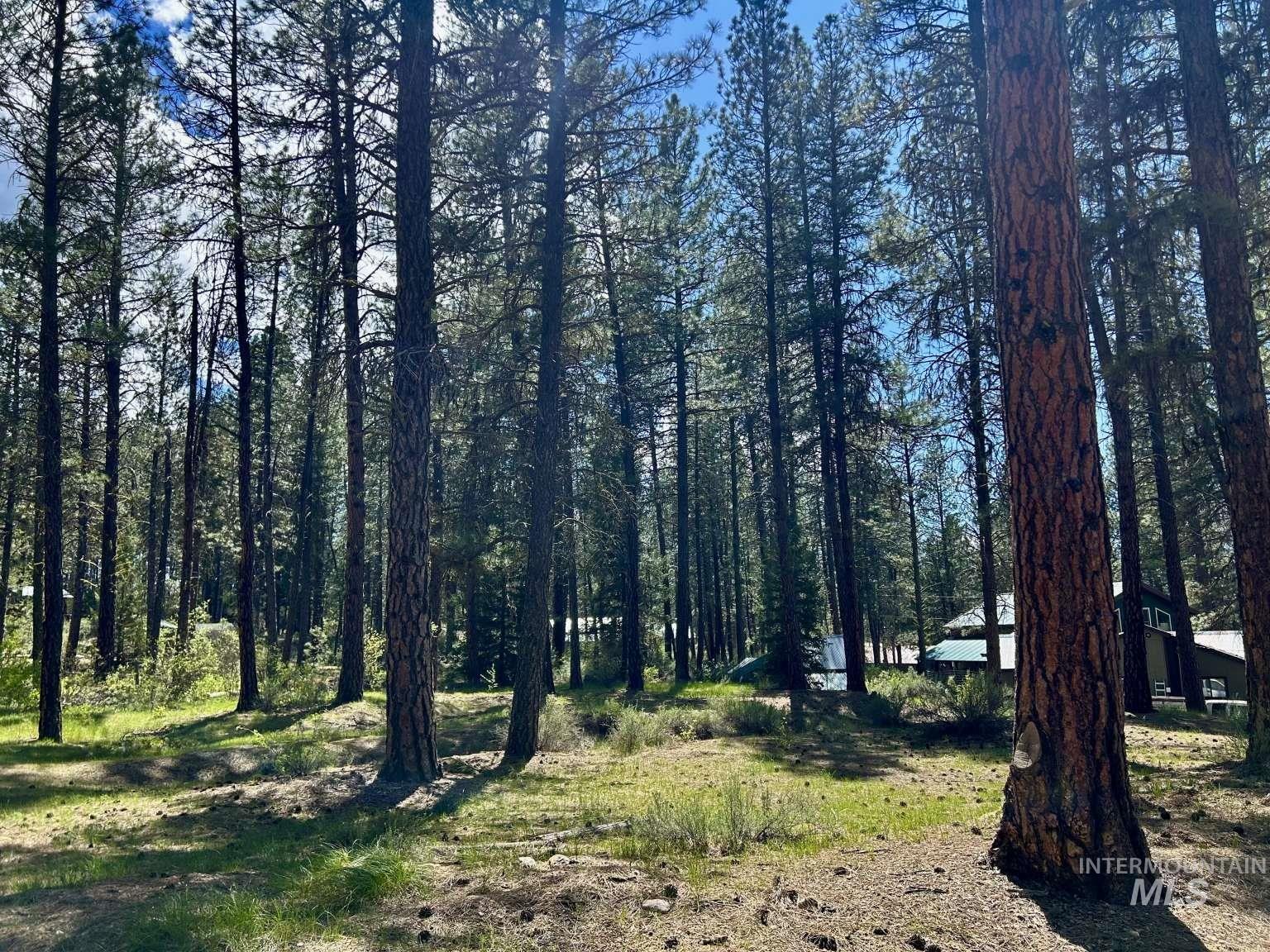 View of nature