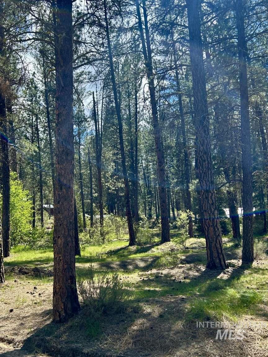 View of wooded area
