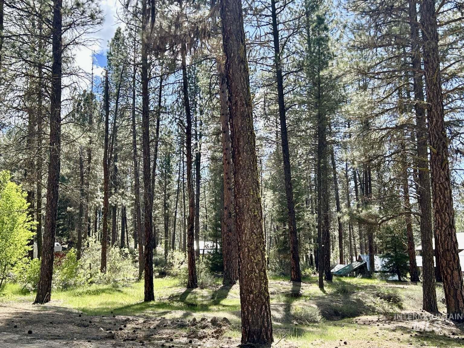 View of nature