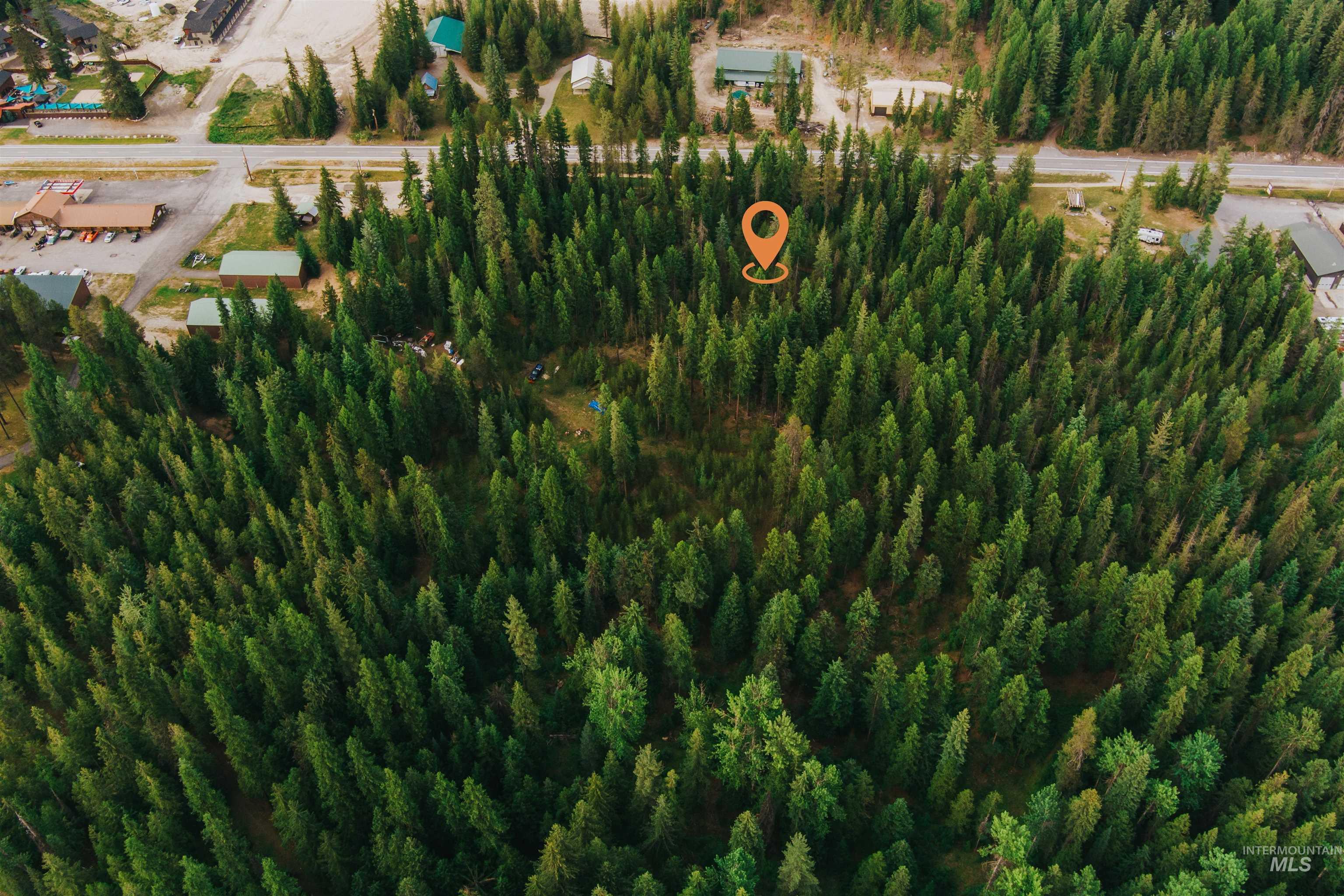 Drone / aerial view of a forest