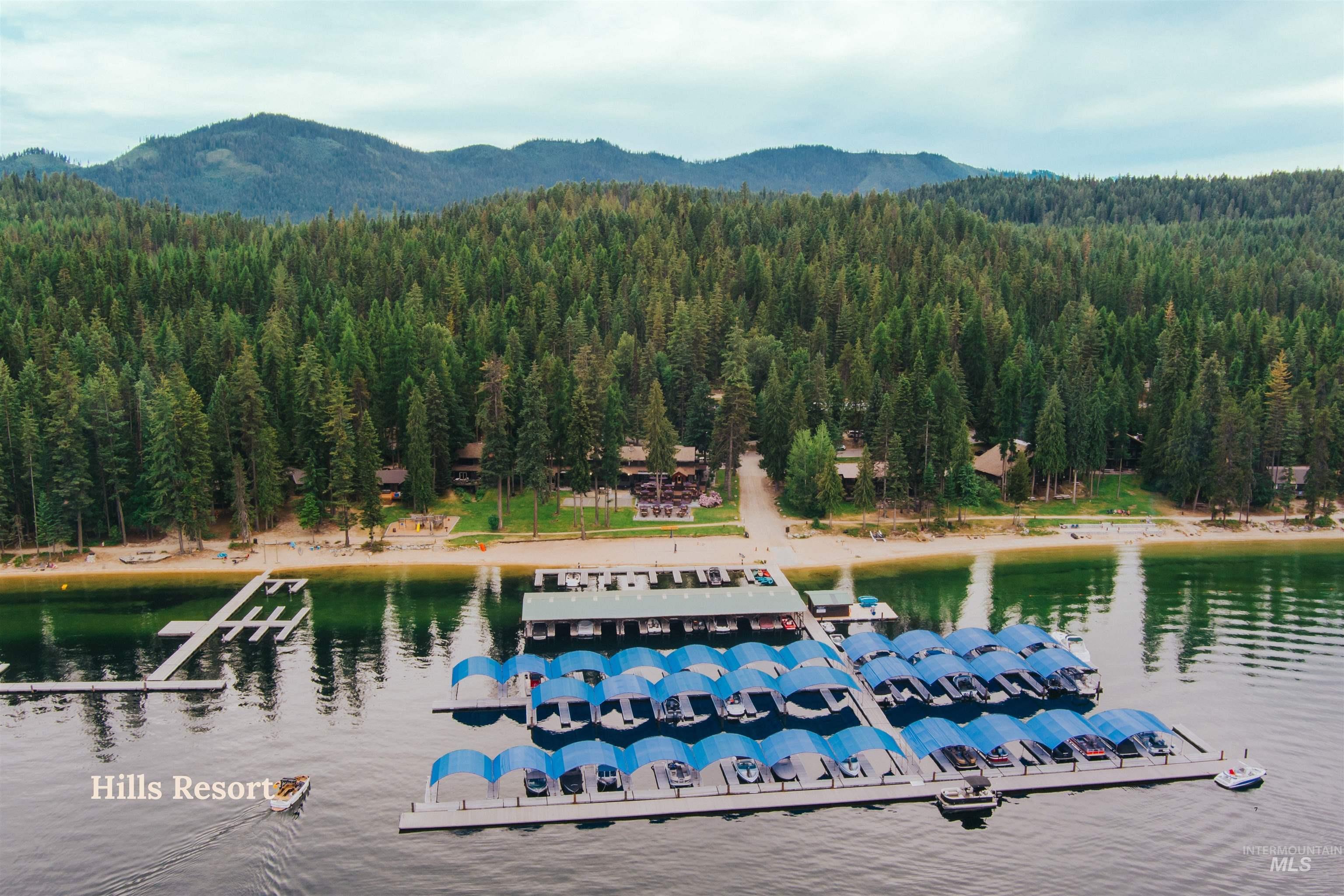 Aerial view of a water and mountain view and a heavily wooded area
