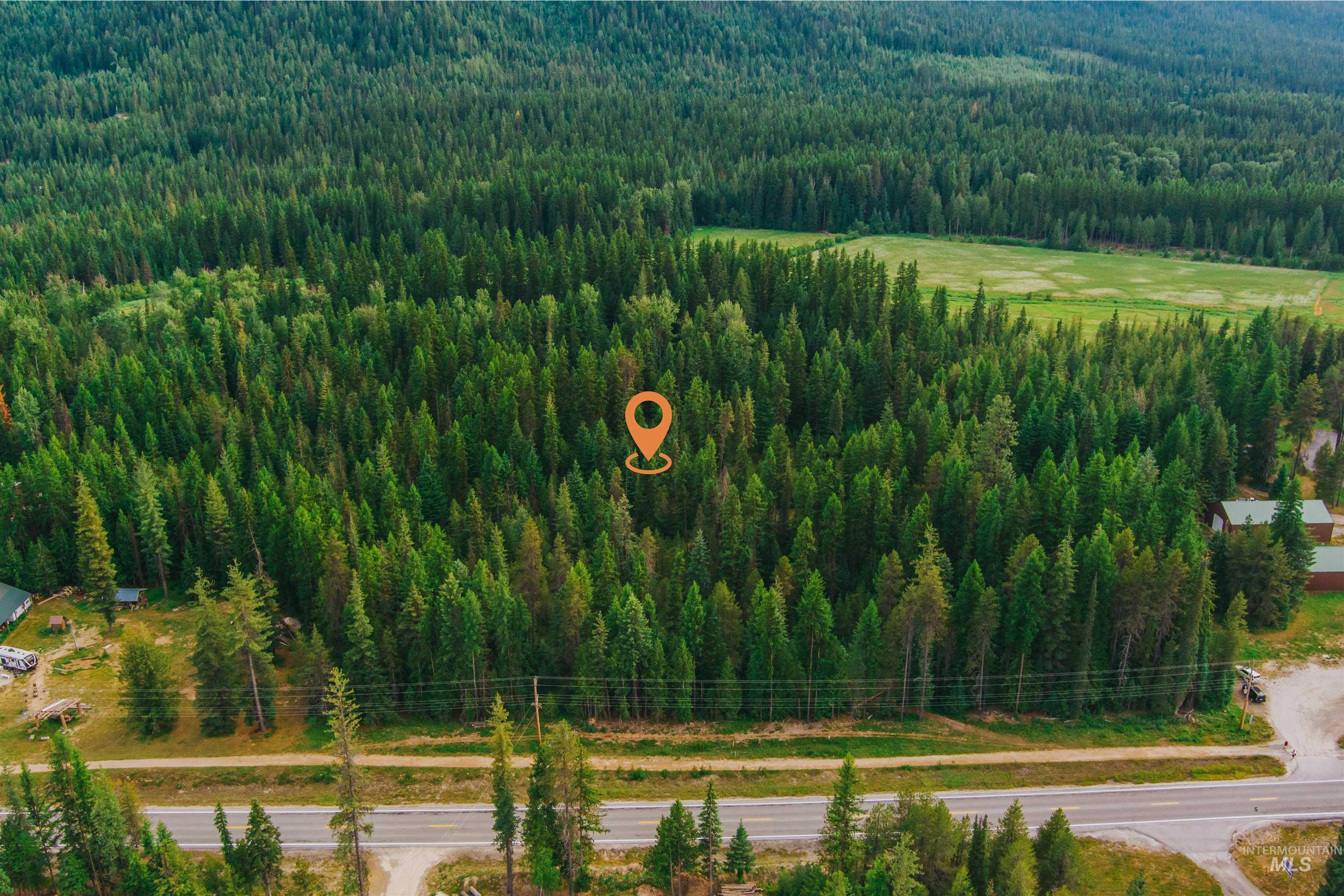 Drone / aerial view of a forest