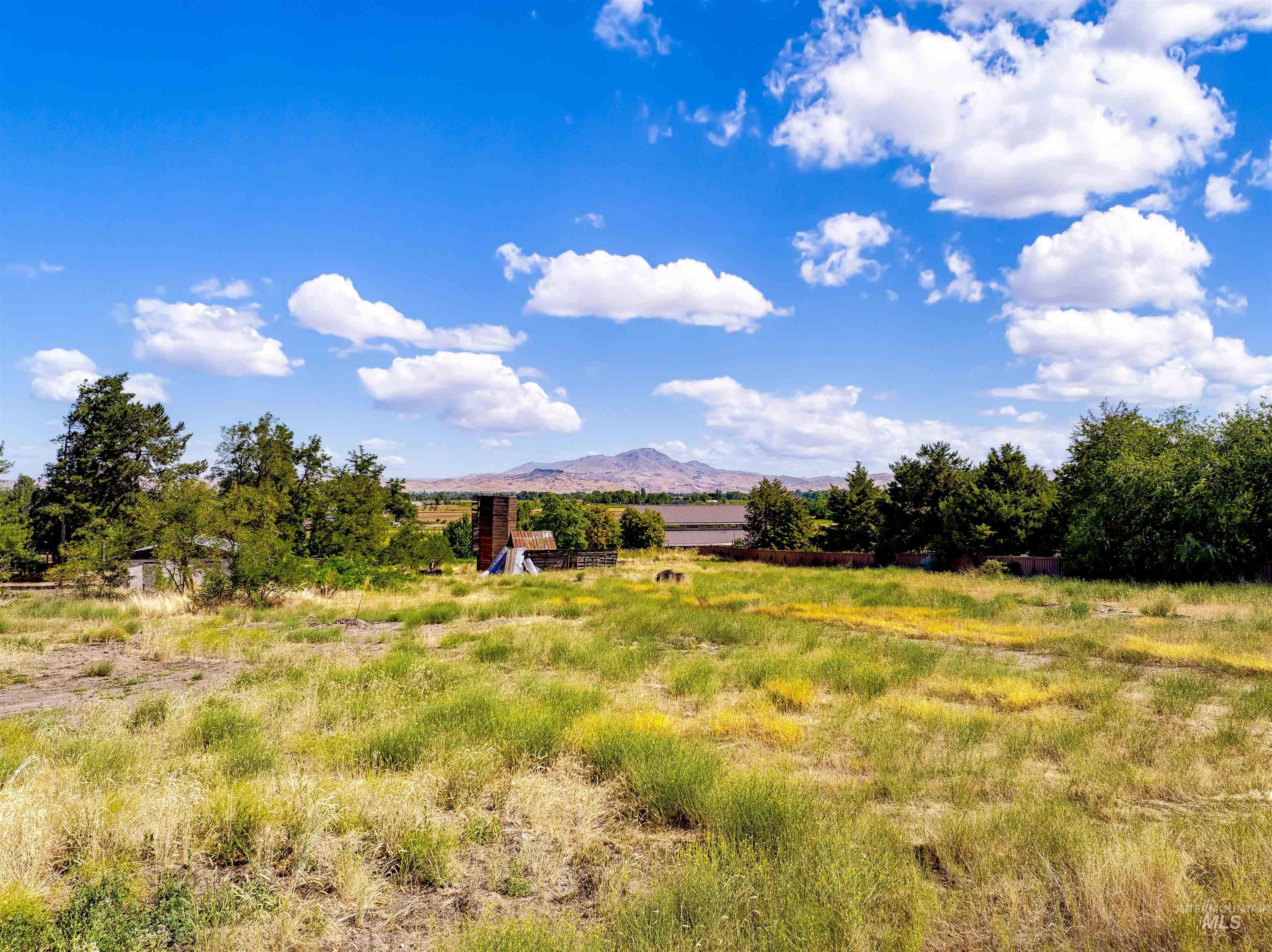View of yard with a view of rural / pastoral area and a mountain view