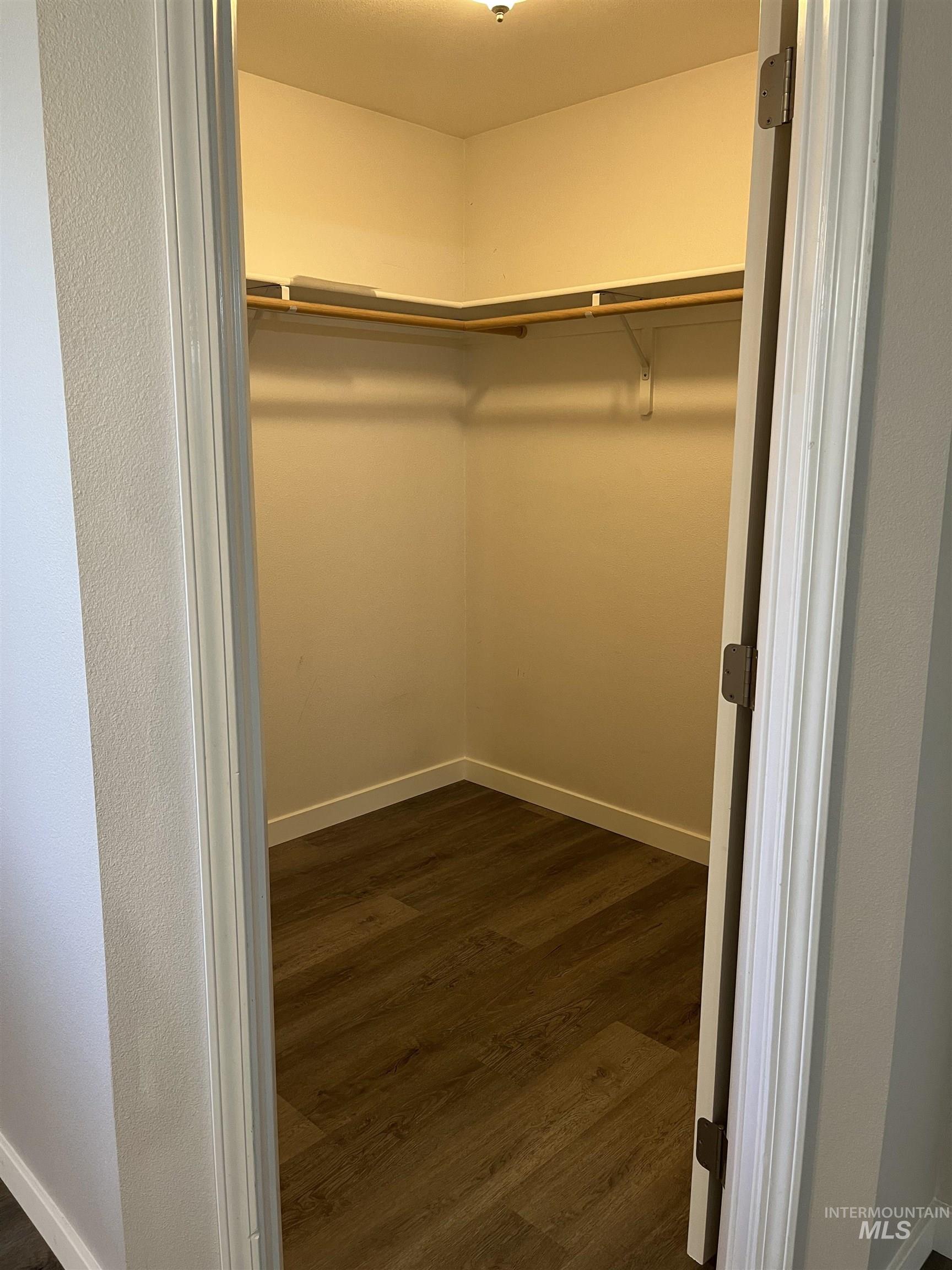 Walk in closet featuring dark wood-type flooring