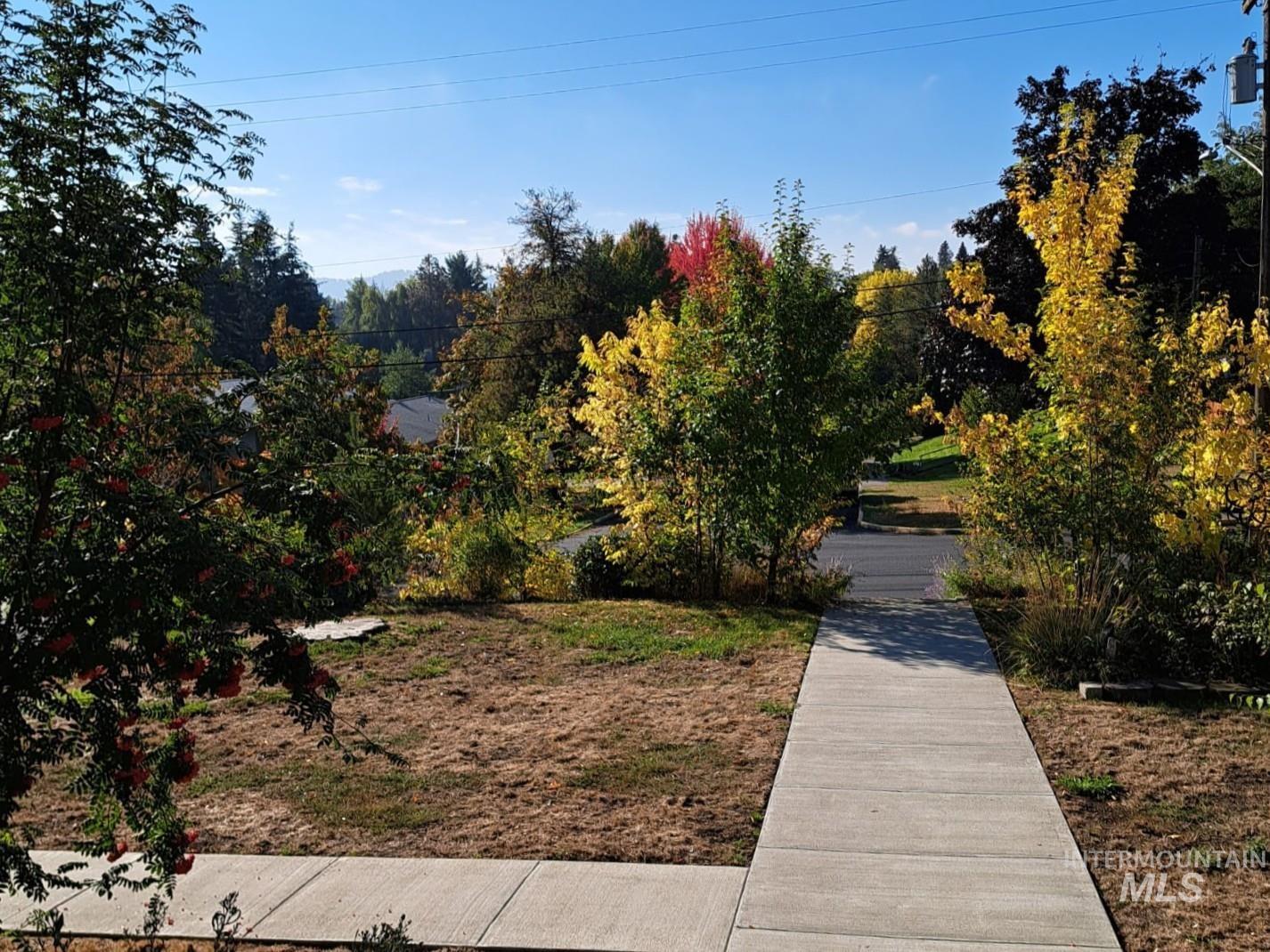 Yard