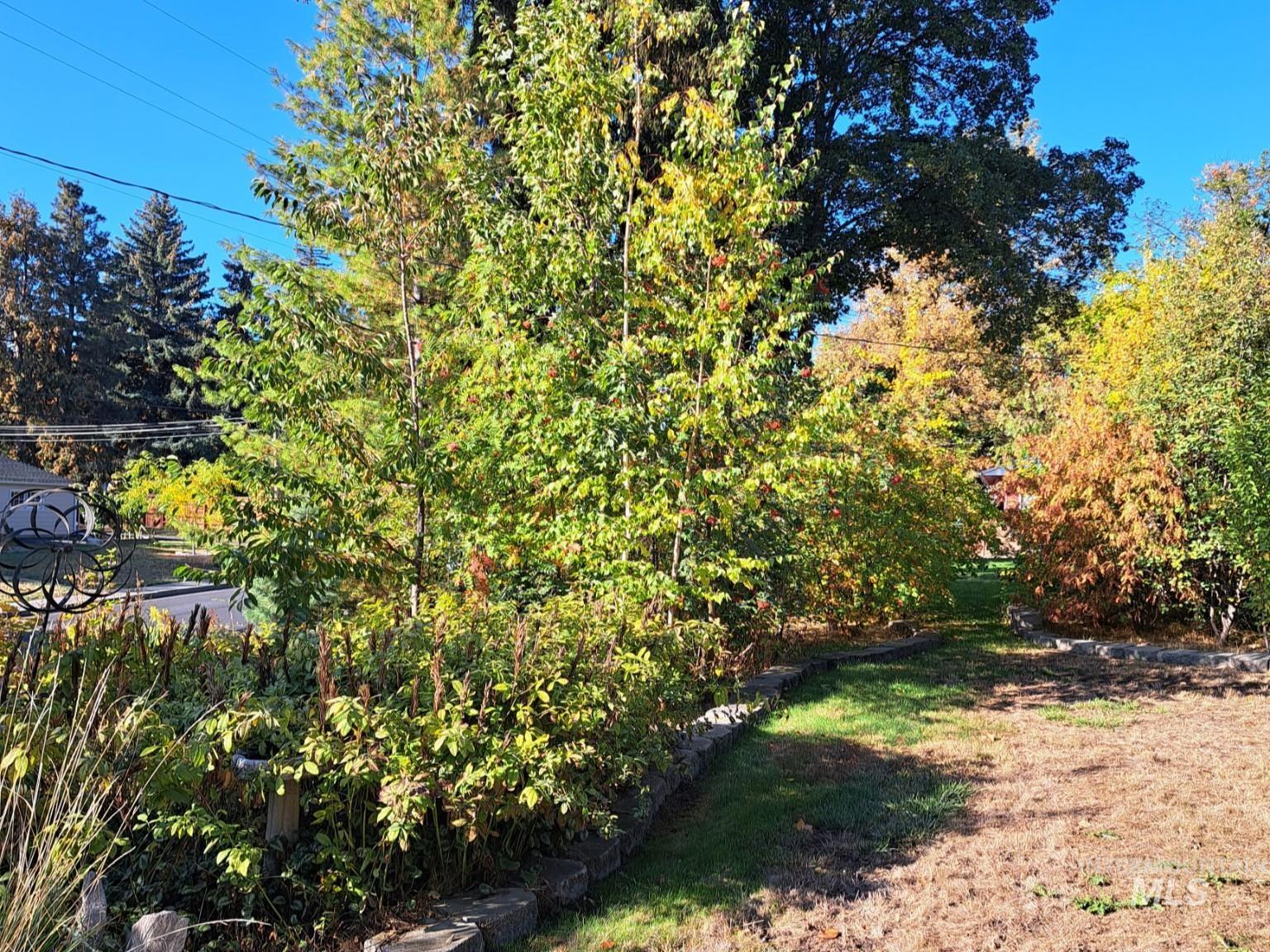 Yard
