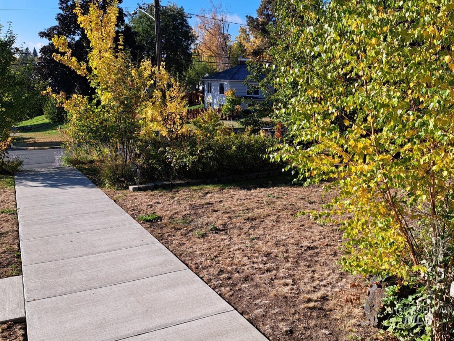 Yard