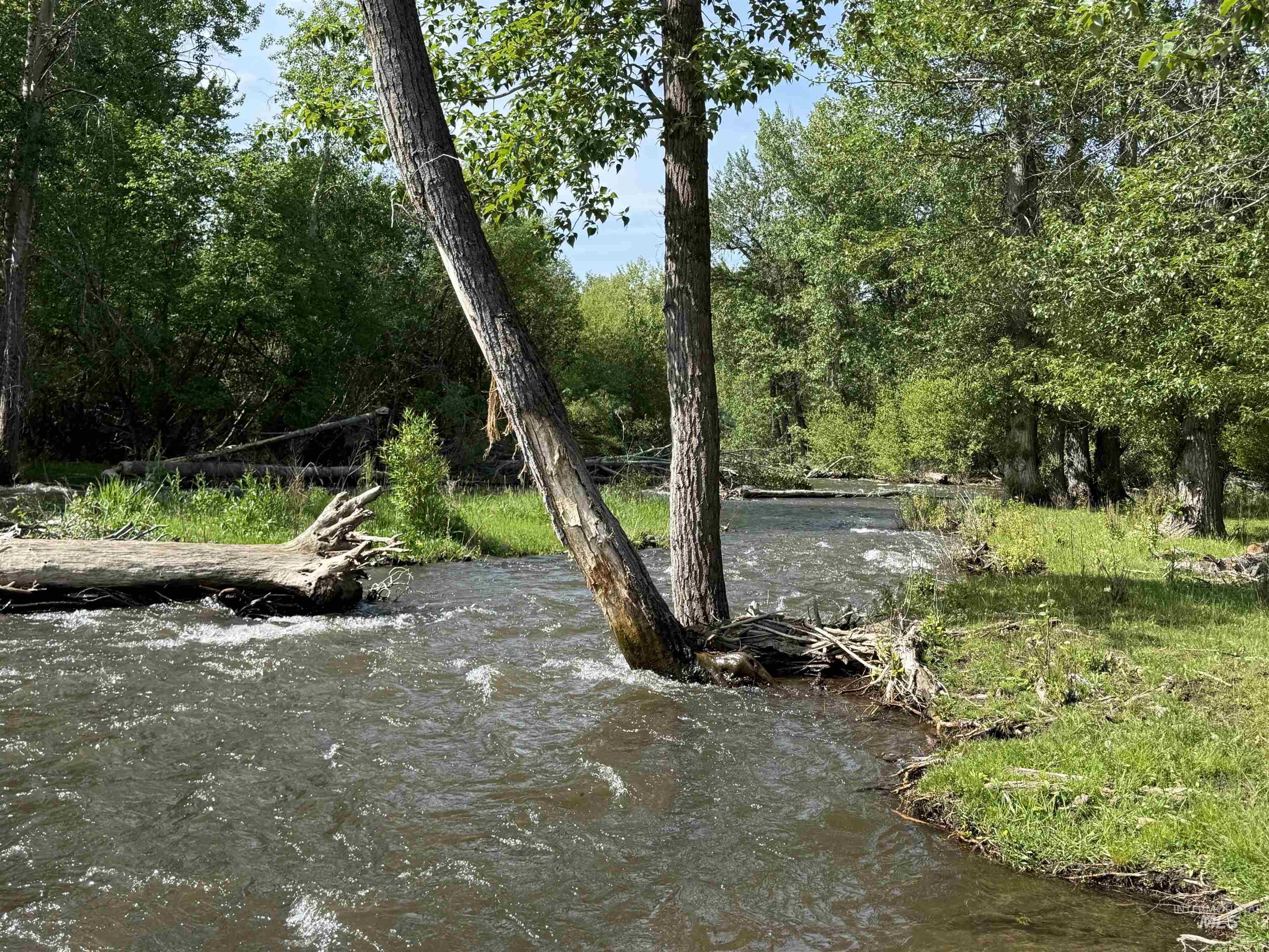 View of yard featuring a water view