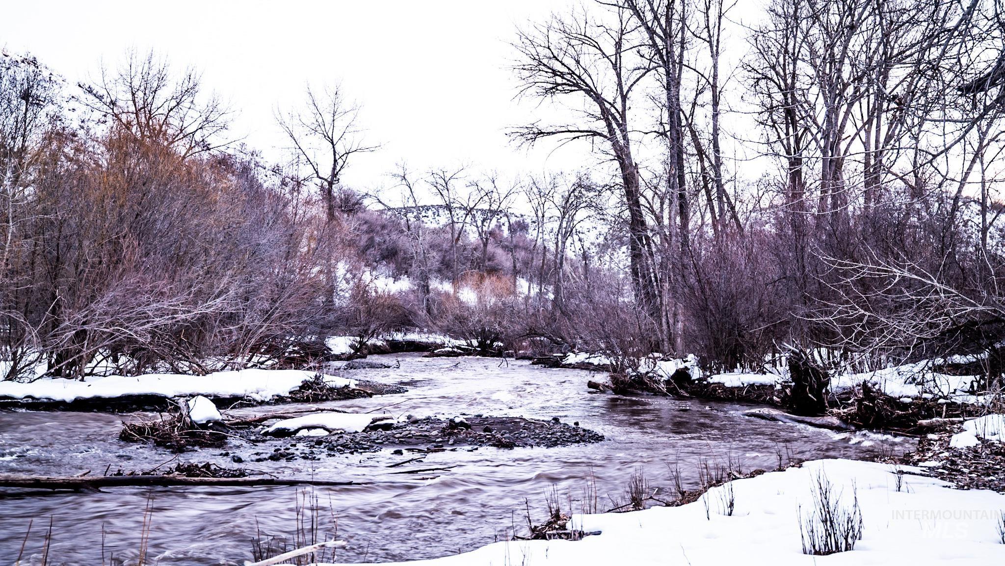 Snowy landscape