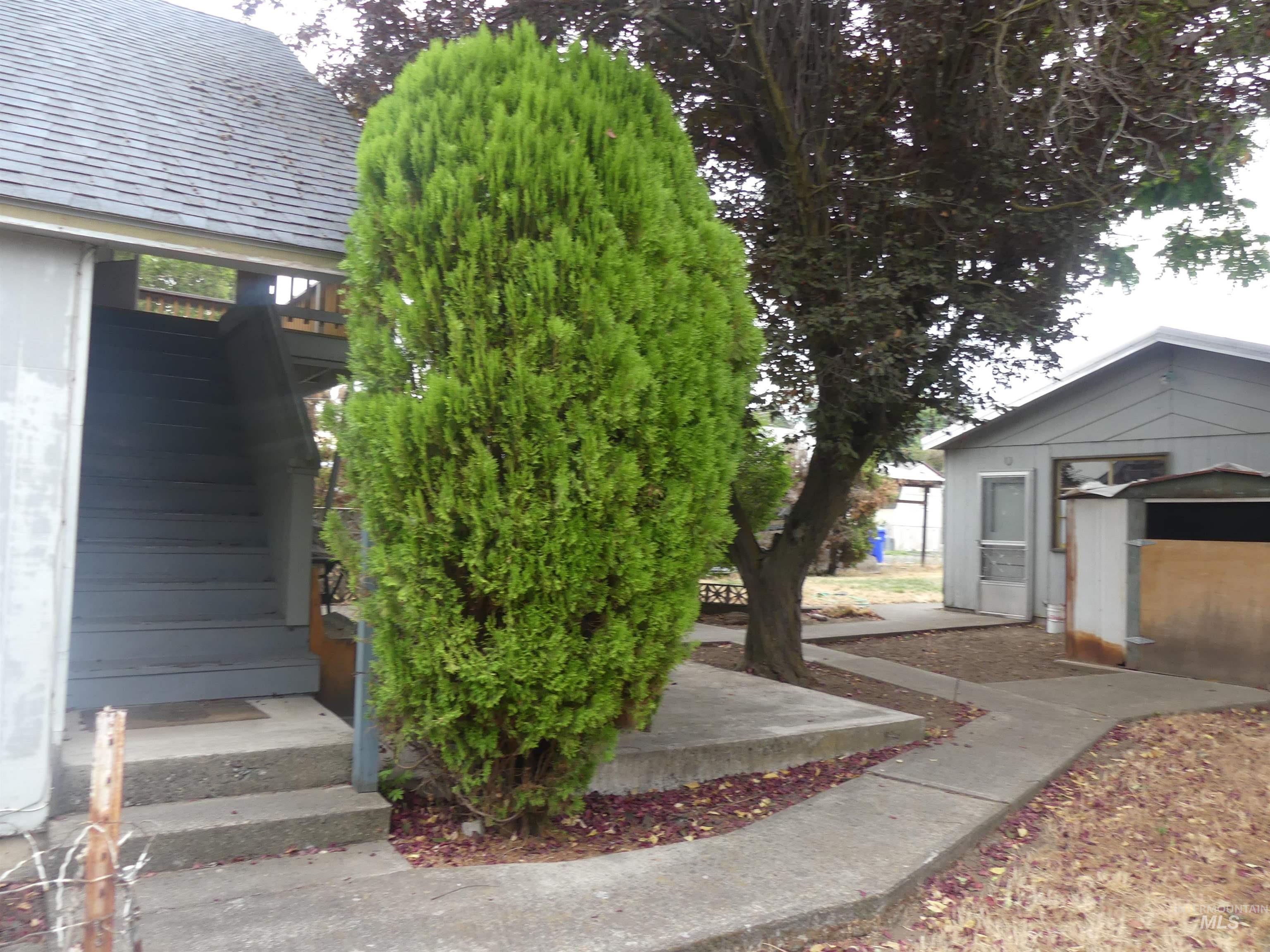 View of yard with stairway and an outbuilding