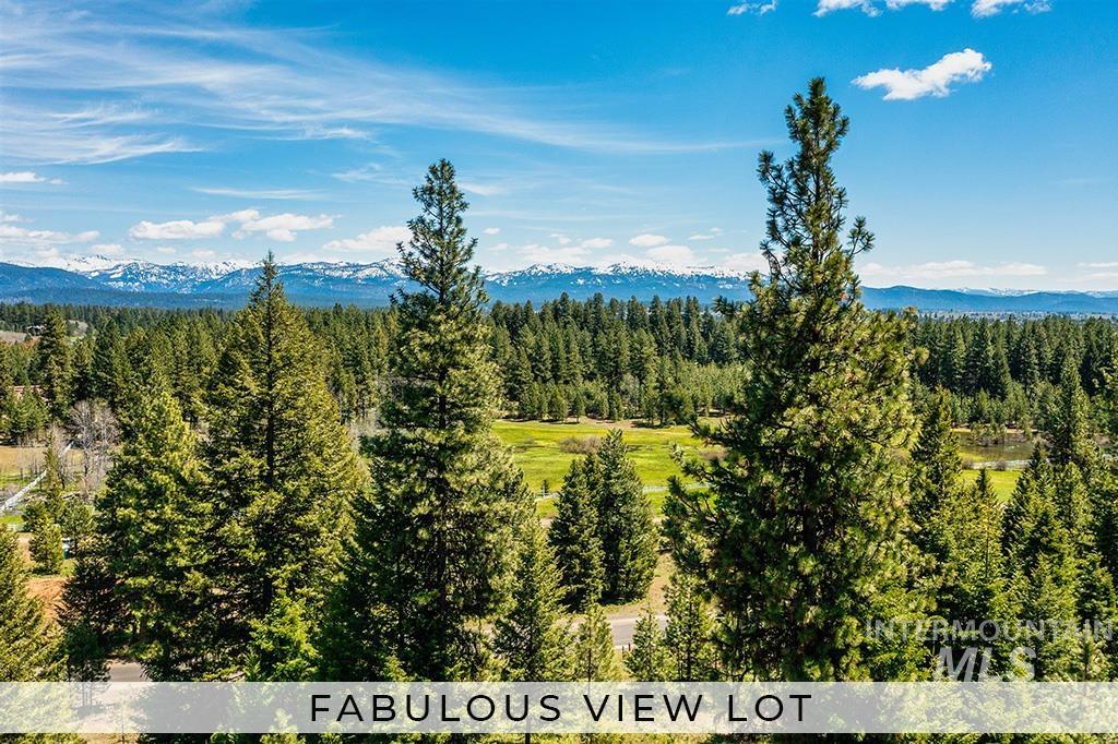 4312 Song Sparrow Ct, McCall, Idaho 83638, Land For Sale, Price $450,000,MLS 98956841