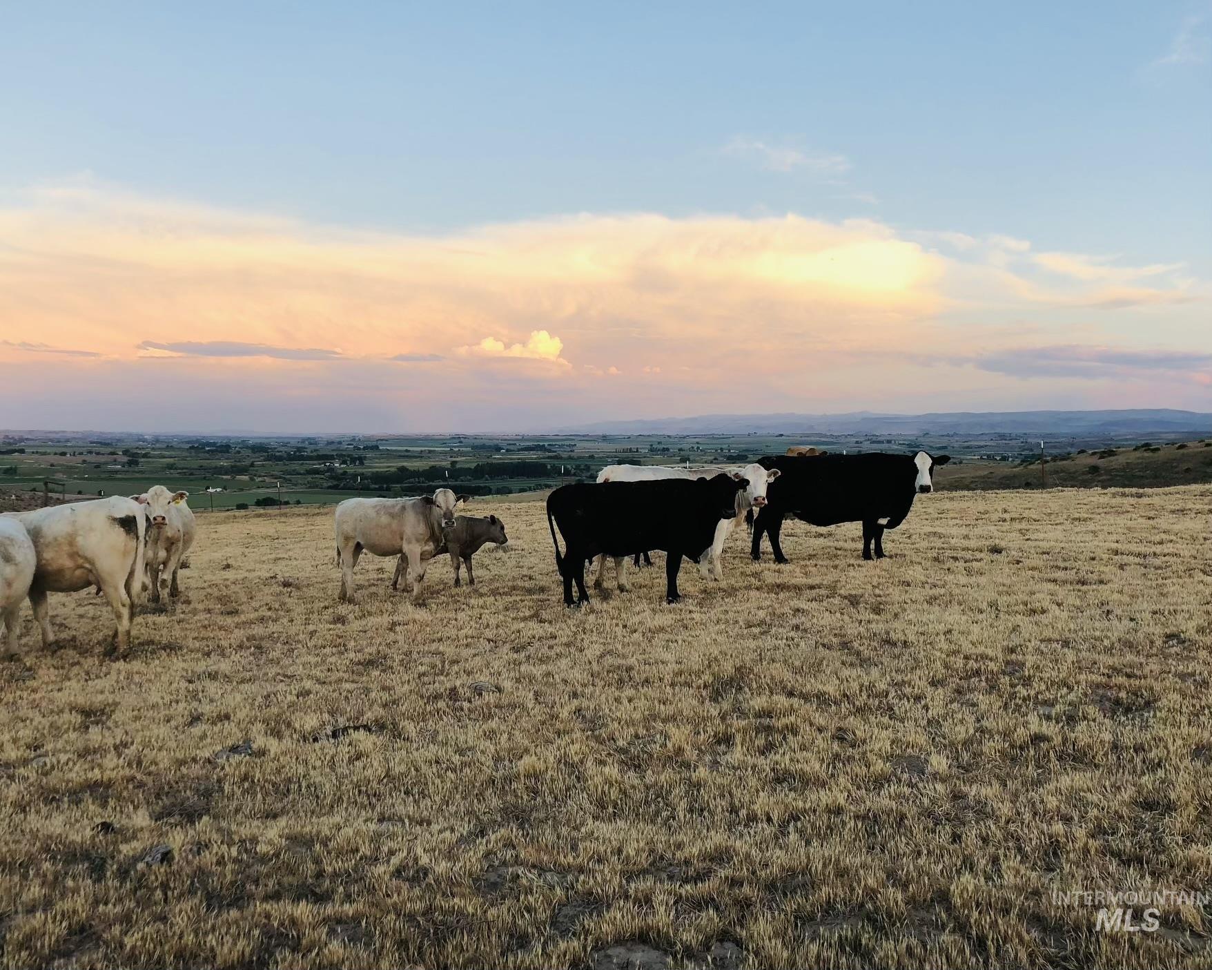 830 Snively Gulch Rd, Adrian, Oregon 97901, Farm & Ranch For Sale, Price $1,300,000, 98956991