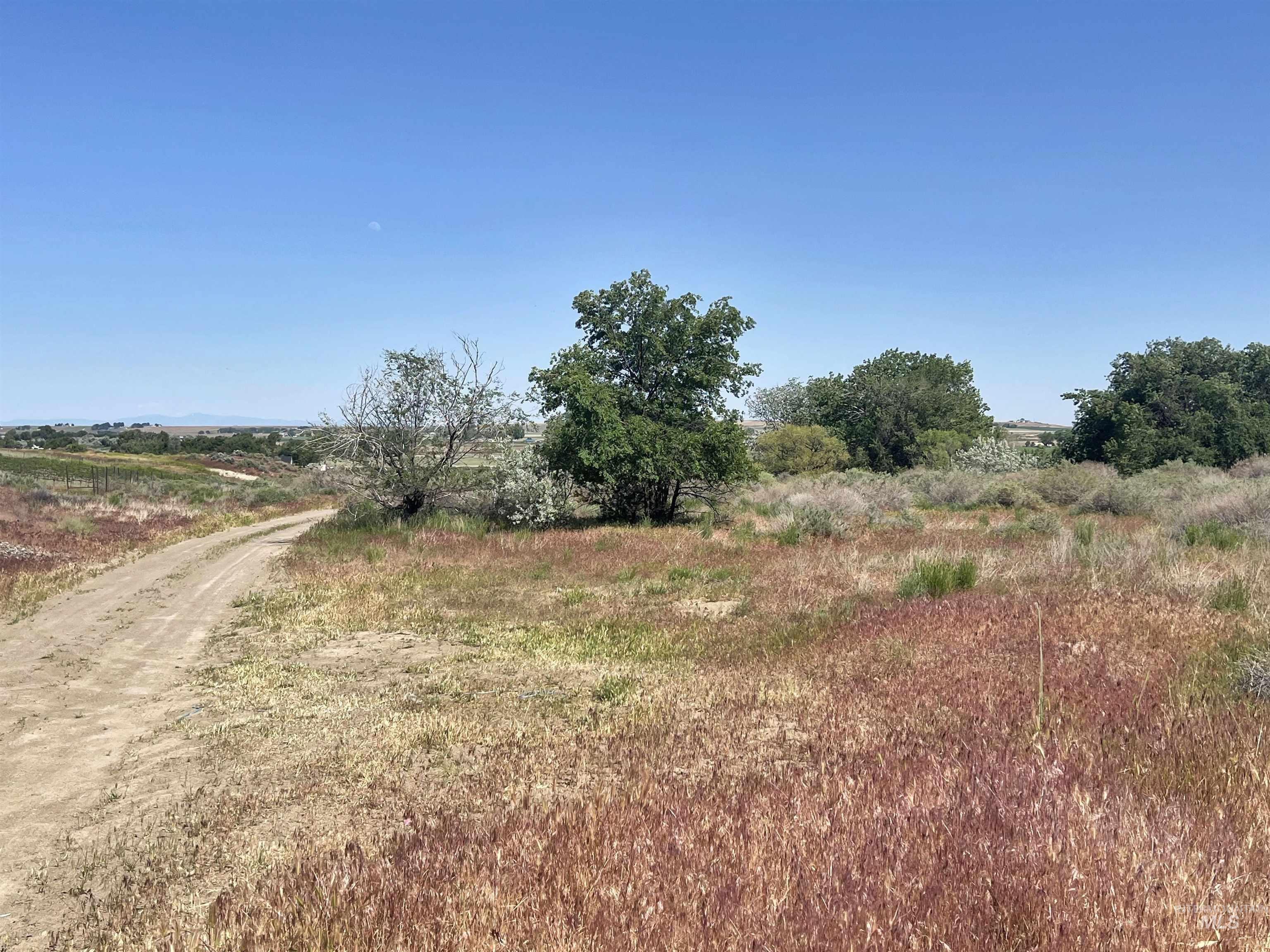 830 Snively Gulch Rd, Adrian, Oregon 97901, Farm & Ranch For Sale, Price $1,300,000, 98956991
