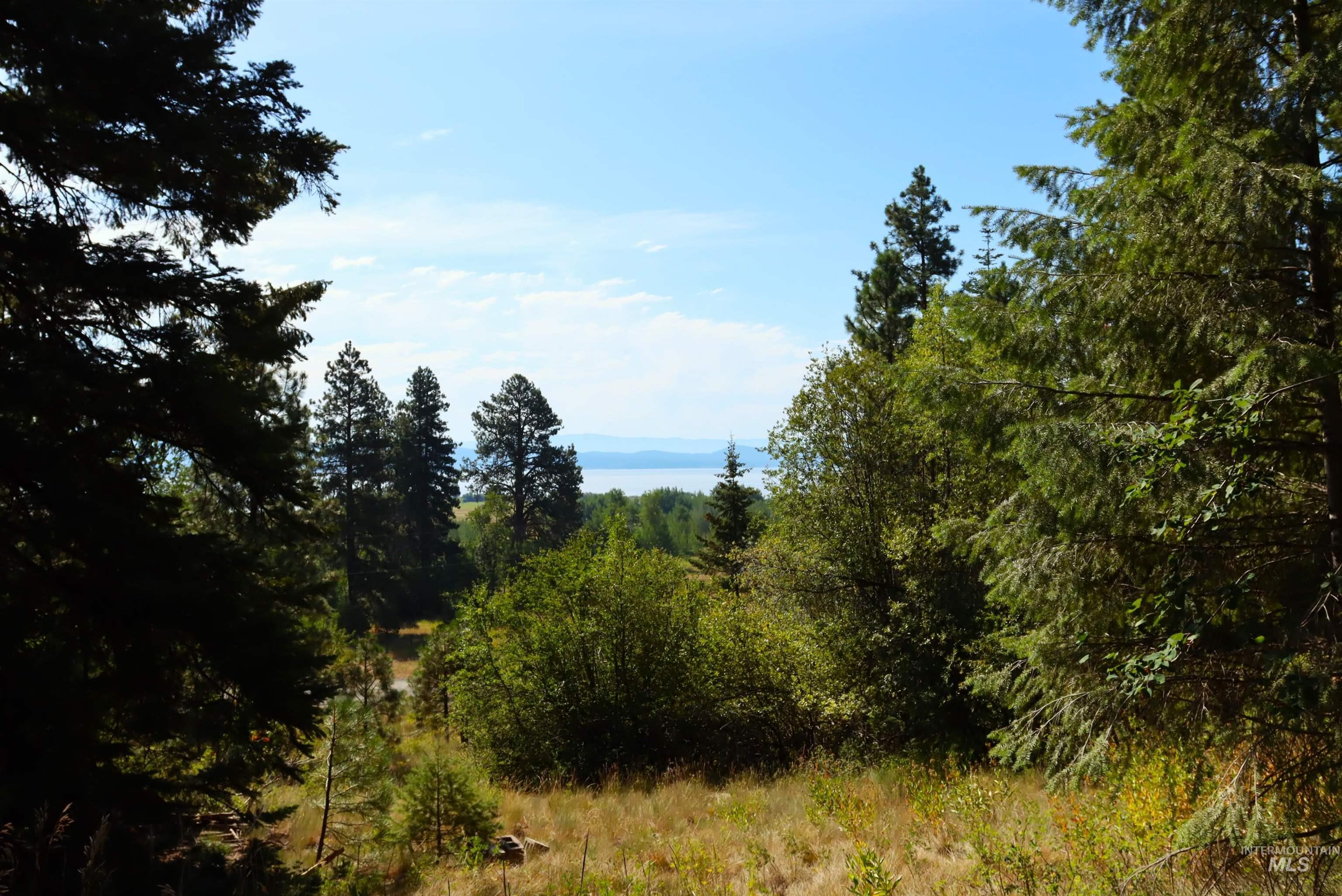 View of woods
