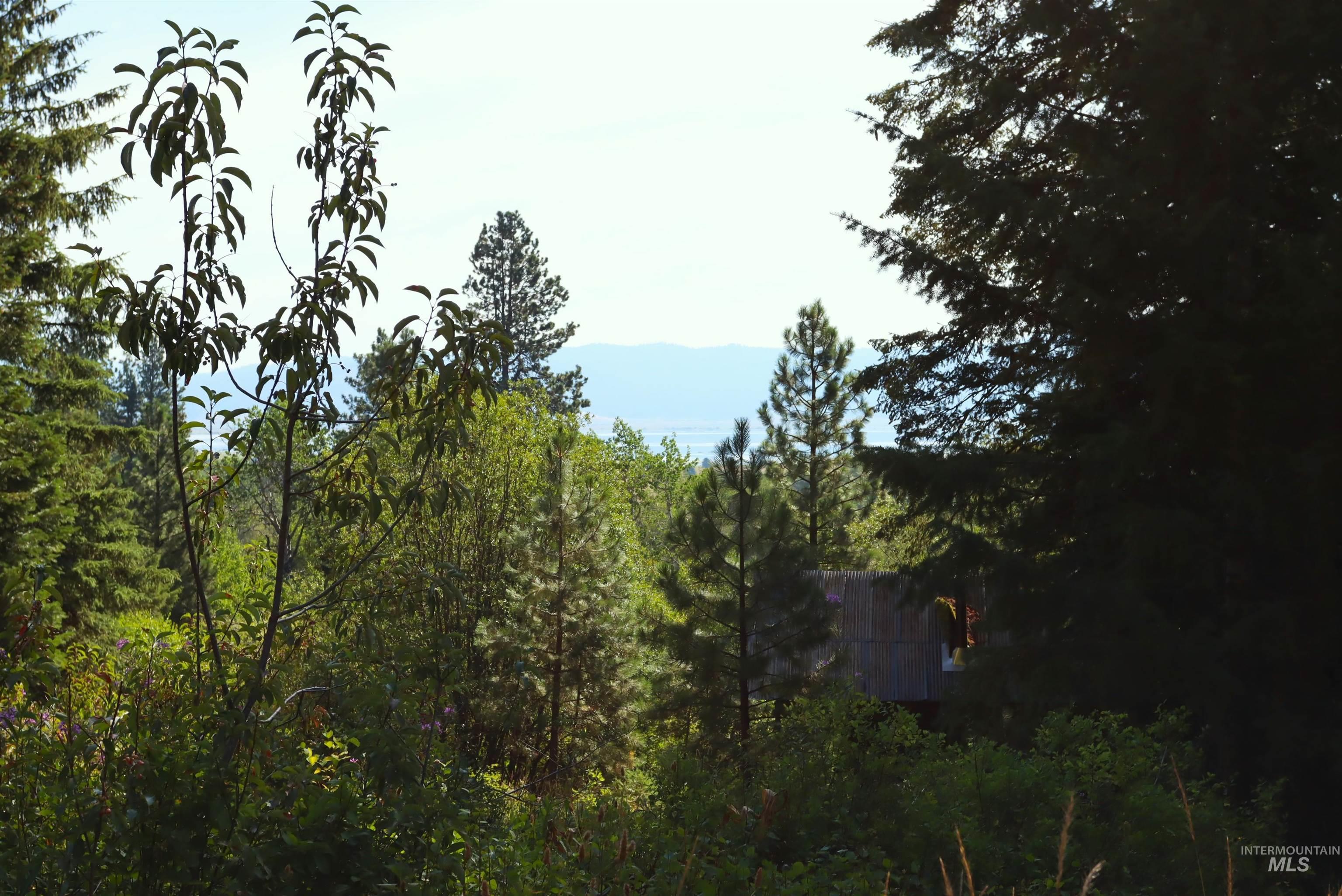 View of mountain backdrop with a forest