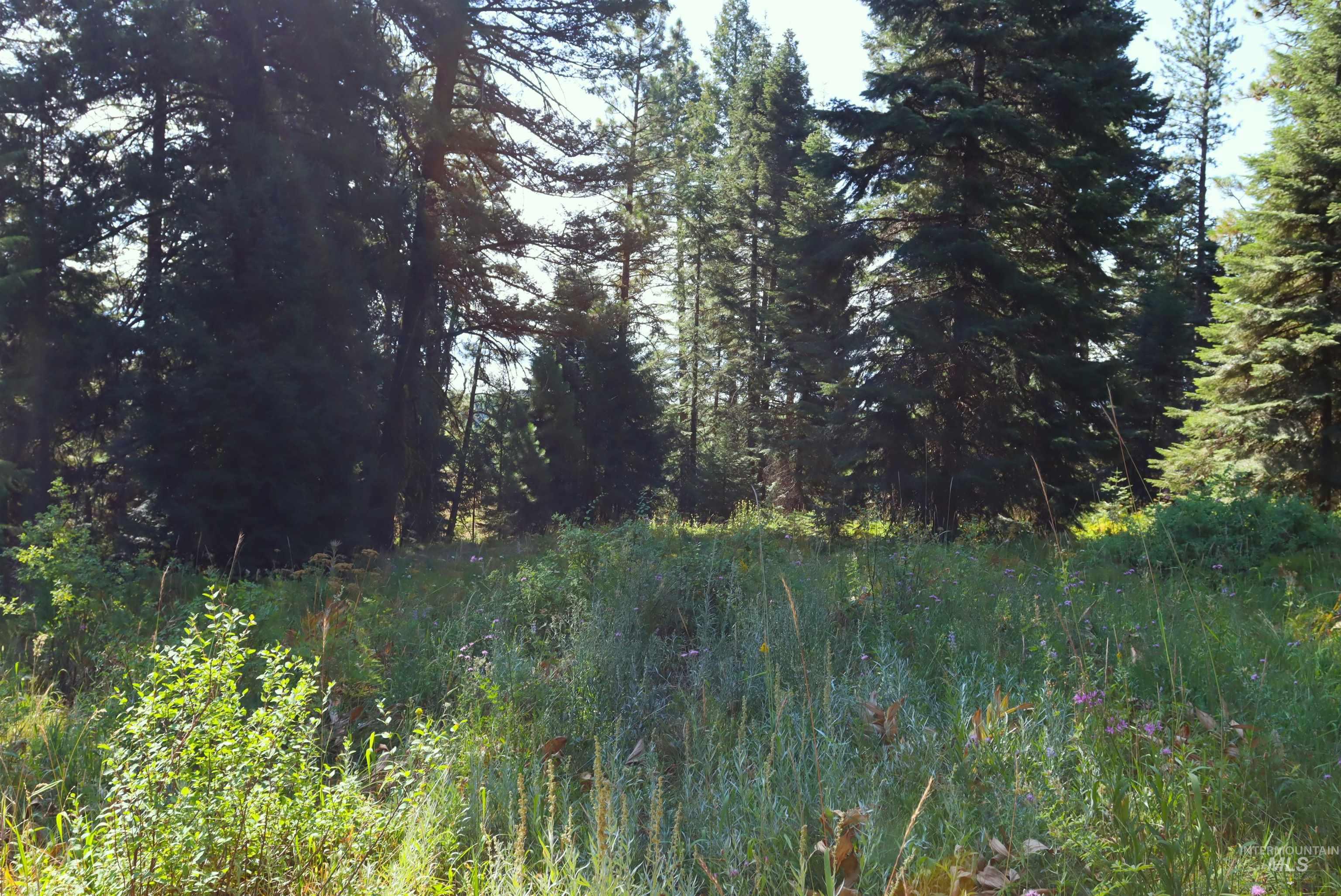 View of undeveloped land