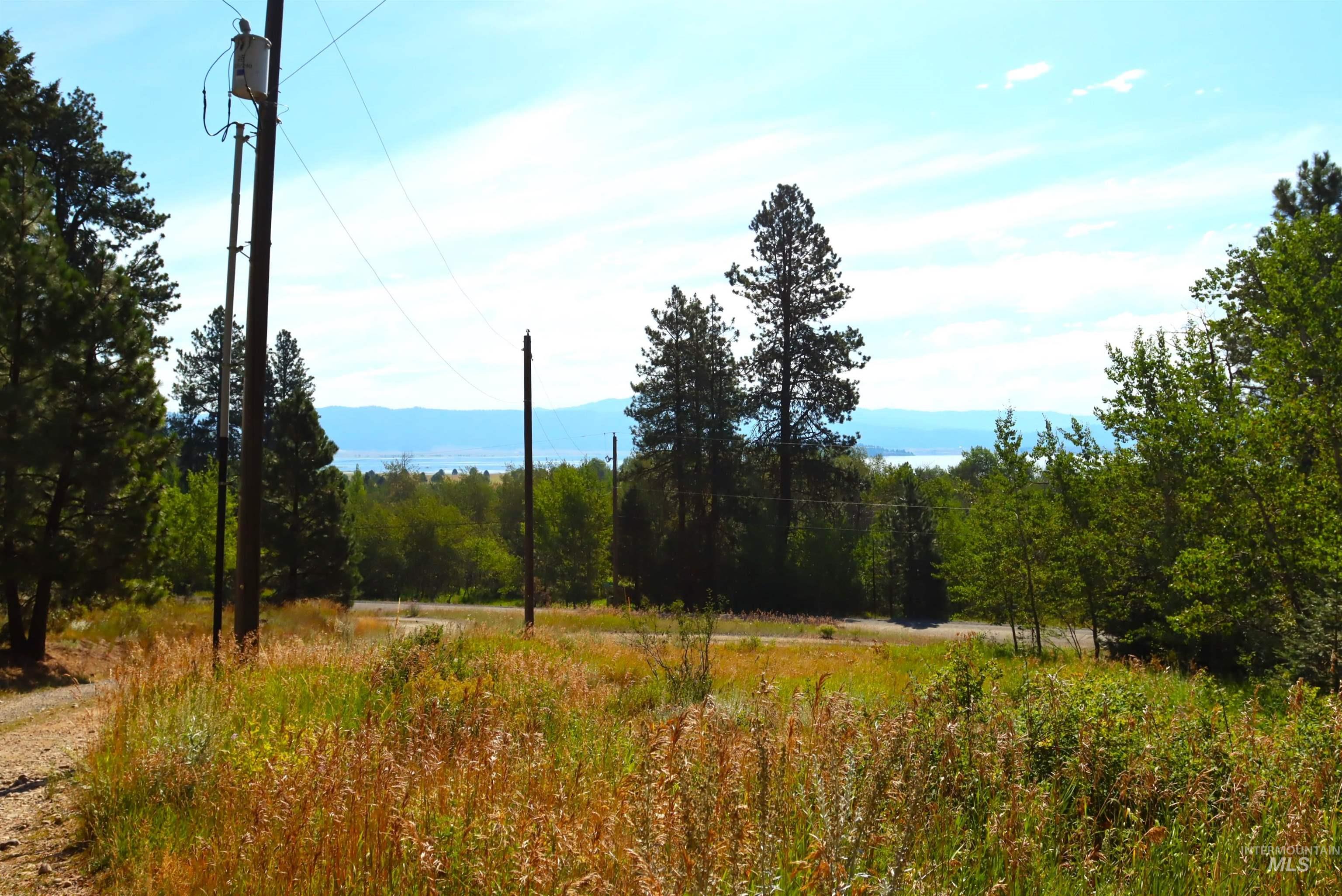 View of woods