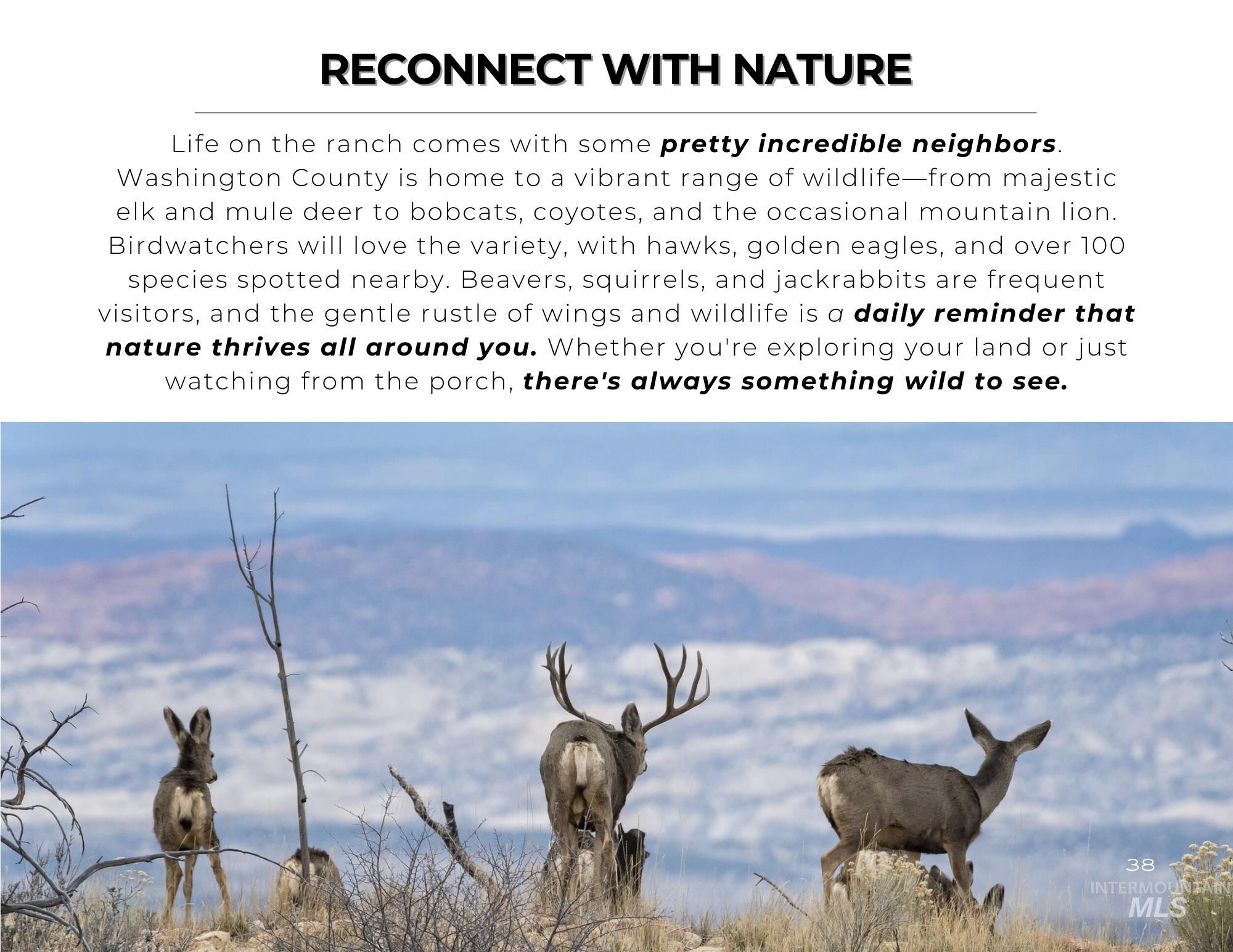TBD Bonner Road, Midvale, Idaho 83645, Land For Sale, Price $1,300,000, 98957018