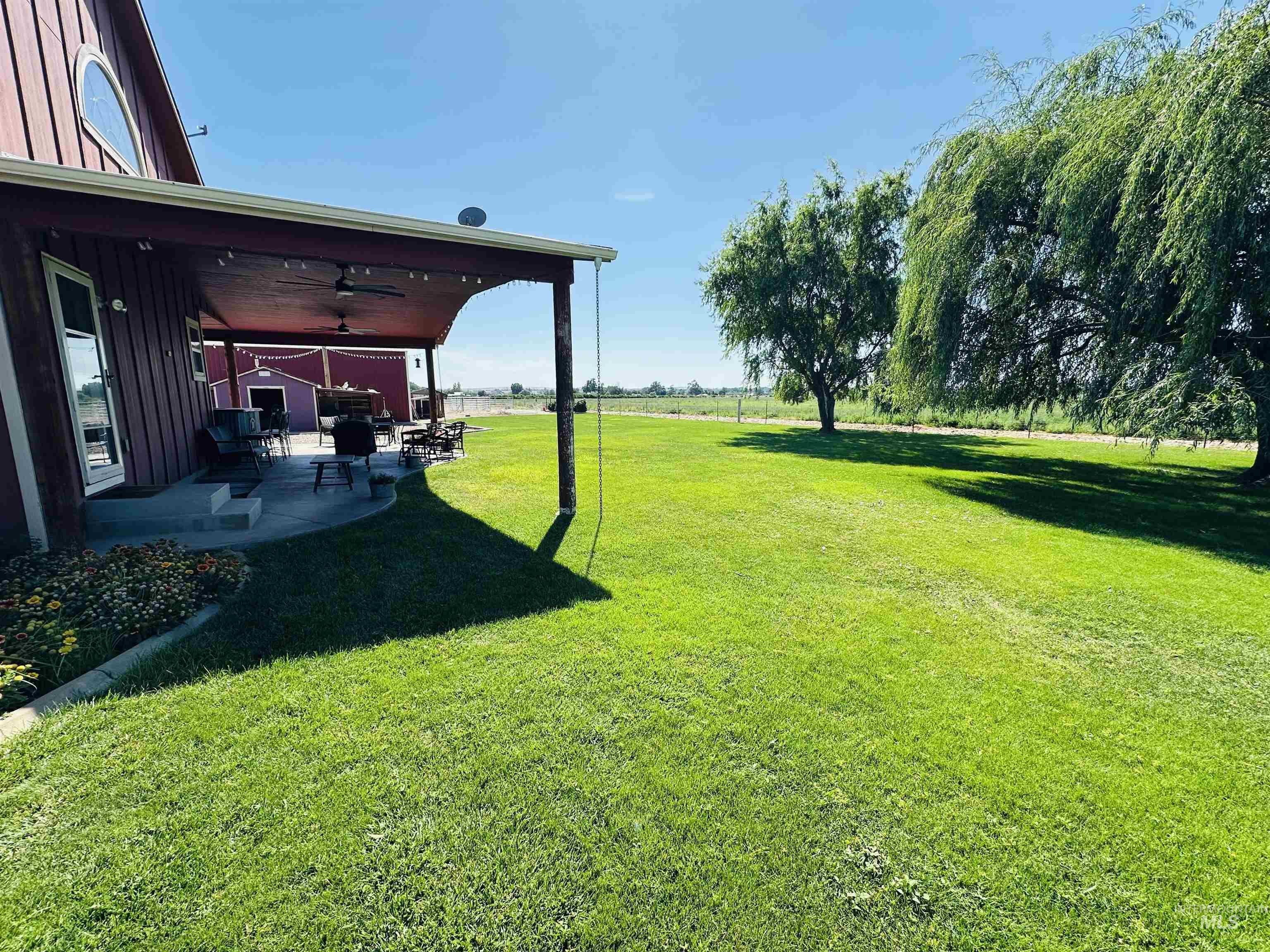 View of grassy yard with a patio and a ceiling fan