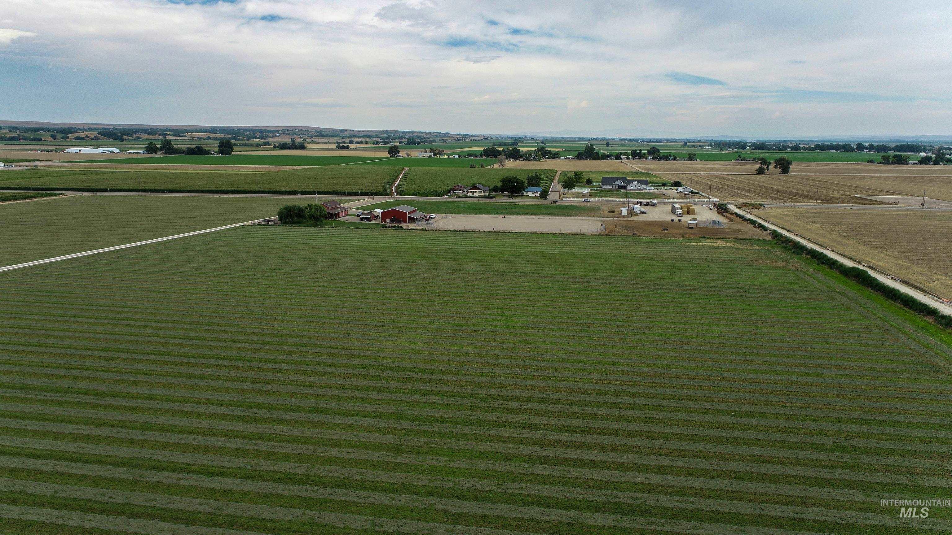 Overview of rural landscape featuring rows of crops