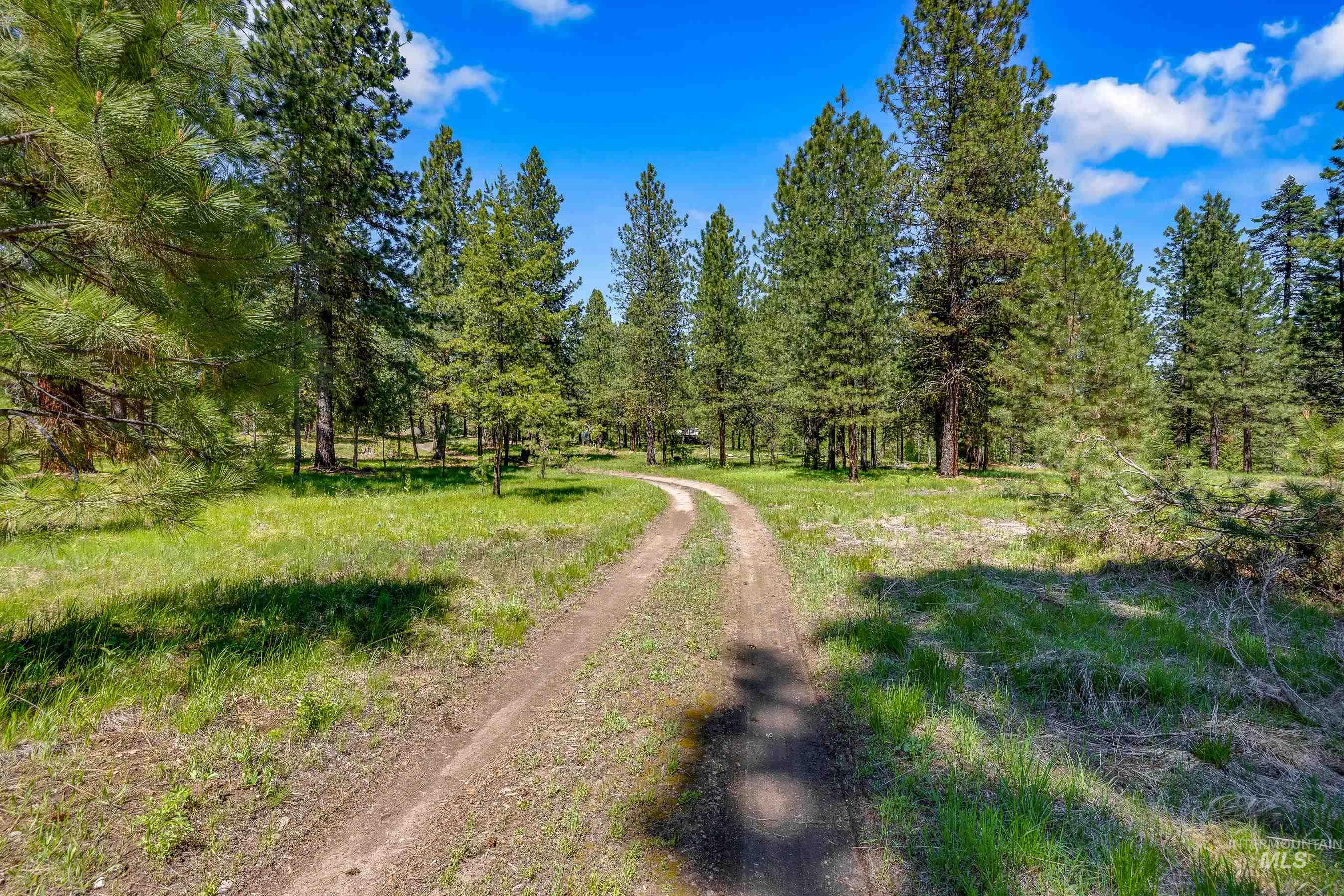 View of dirt / gravel road