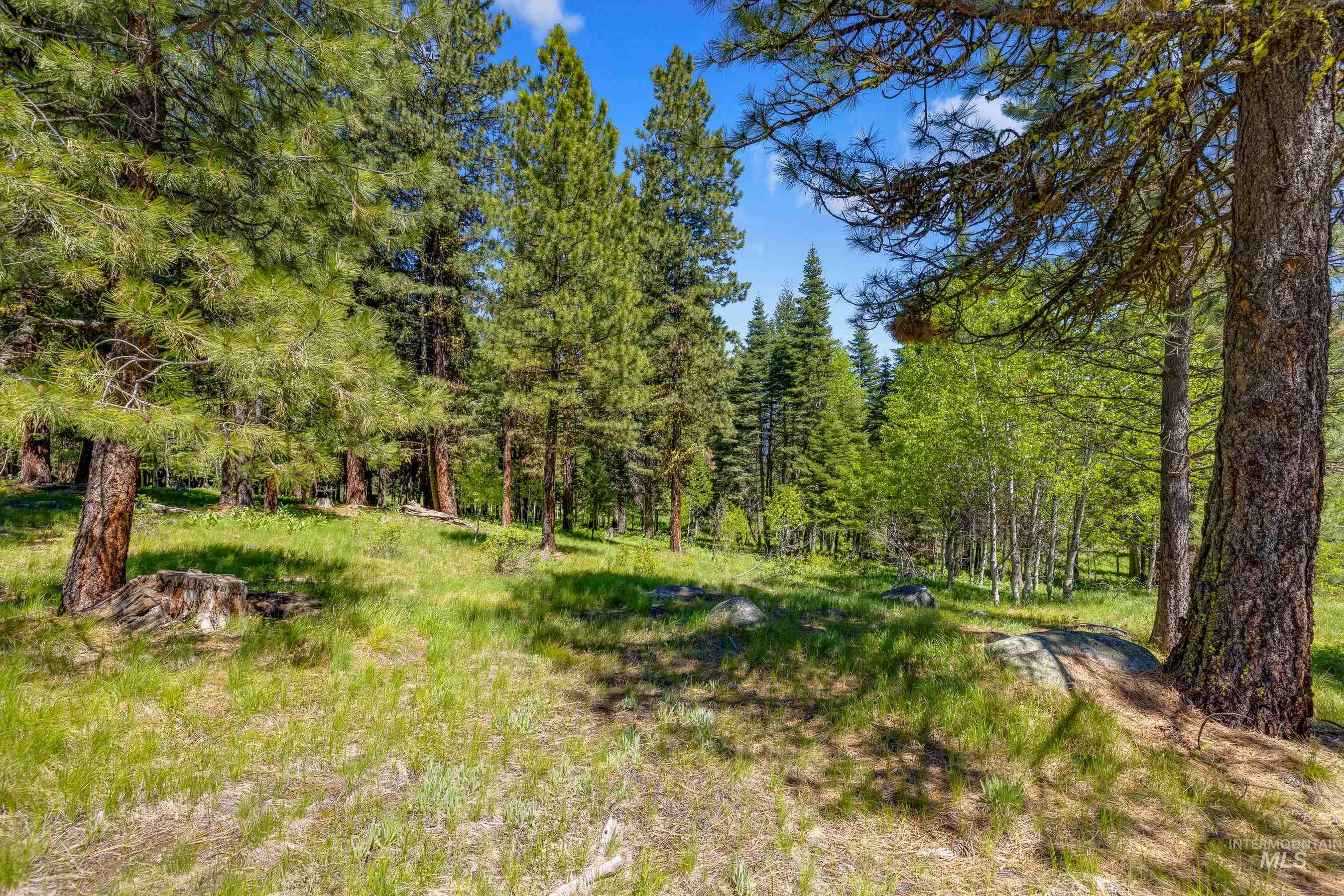 View of woods
