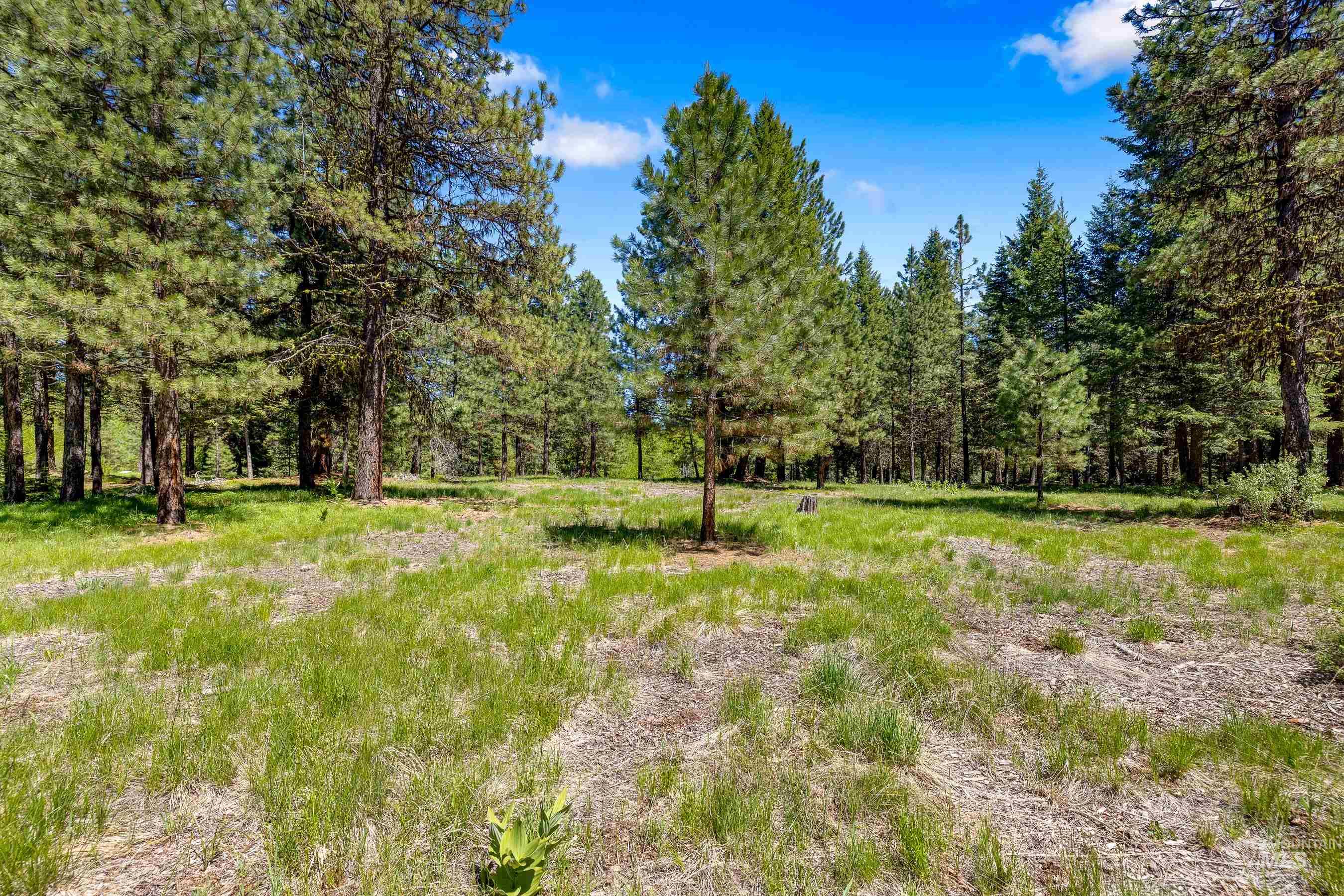 View of yard featuring a forest view
