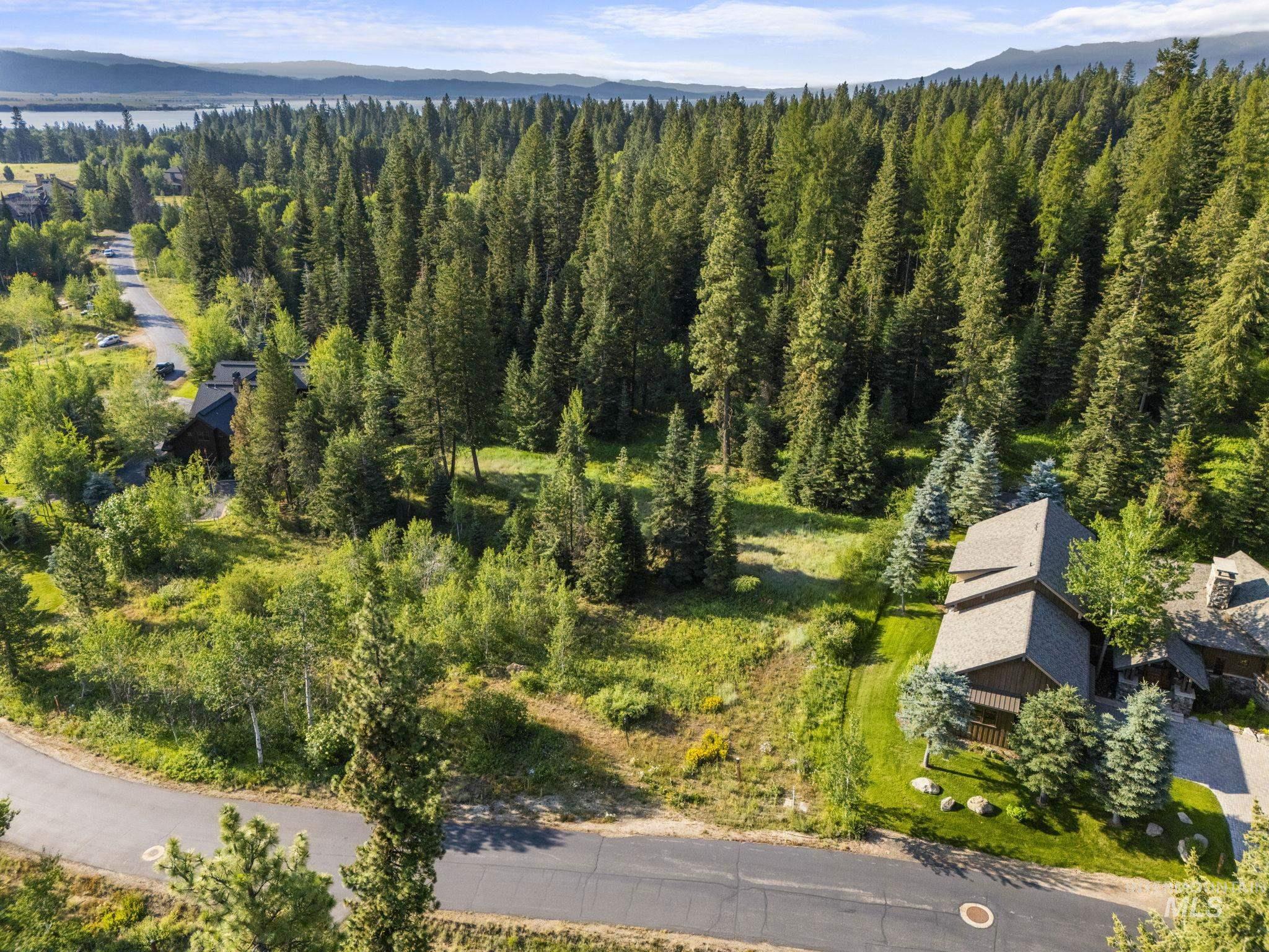 Drone / aerial view of a mountainous background