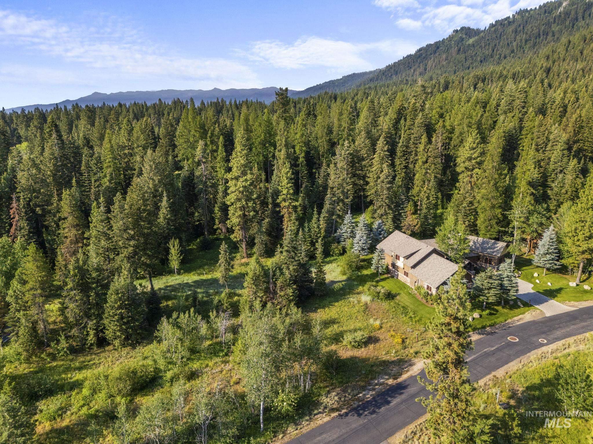 Aerial view of property and surrounding area with mountains and a forest