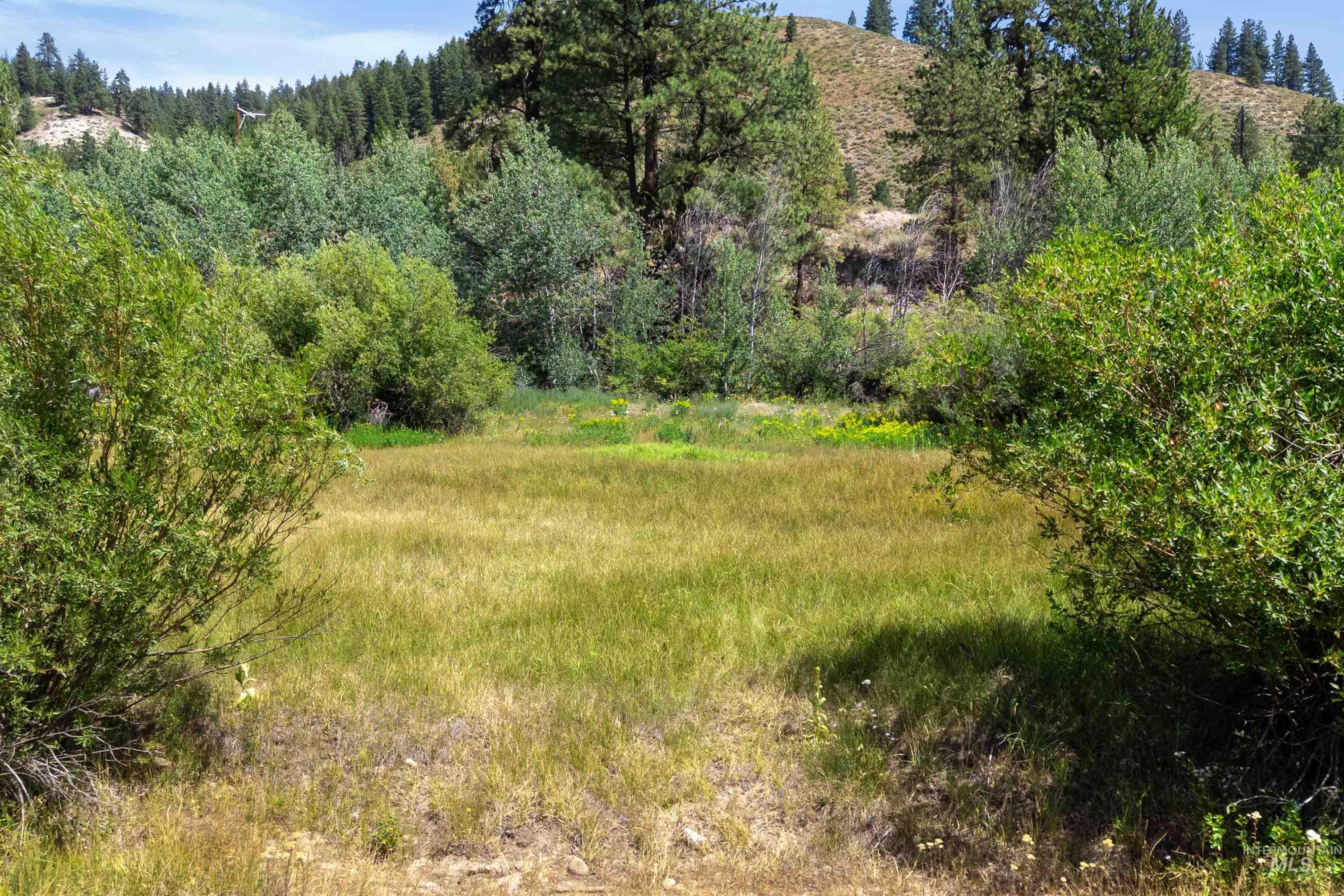 View of local wilderness