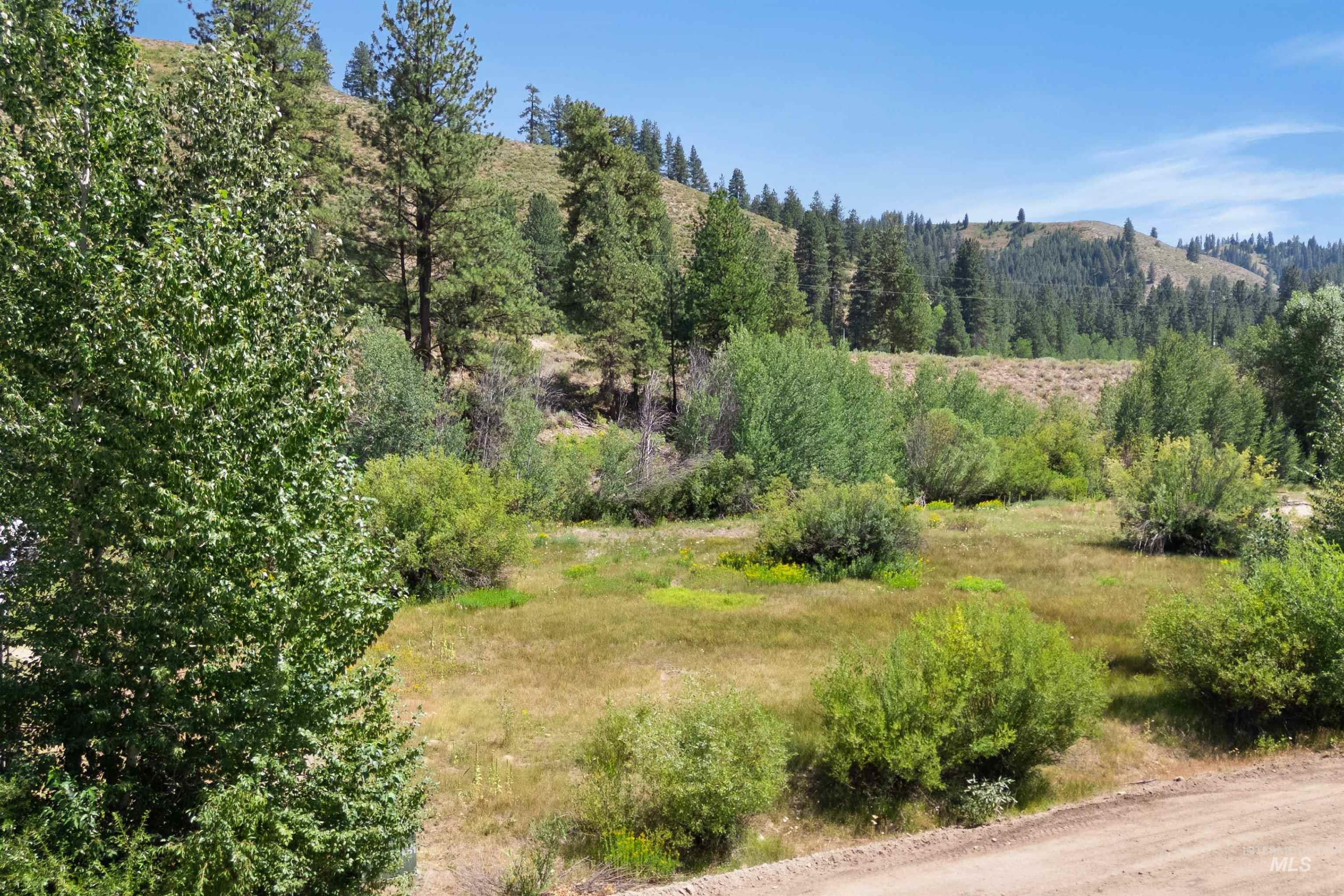 View of local wilderness with a mountain backdrop