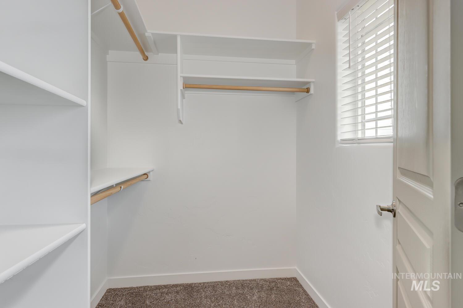Spacious closet with carpet