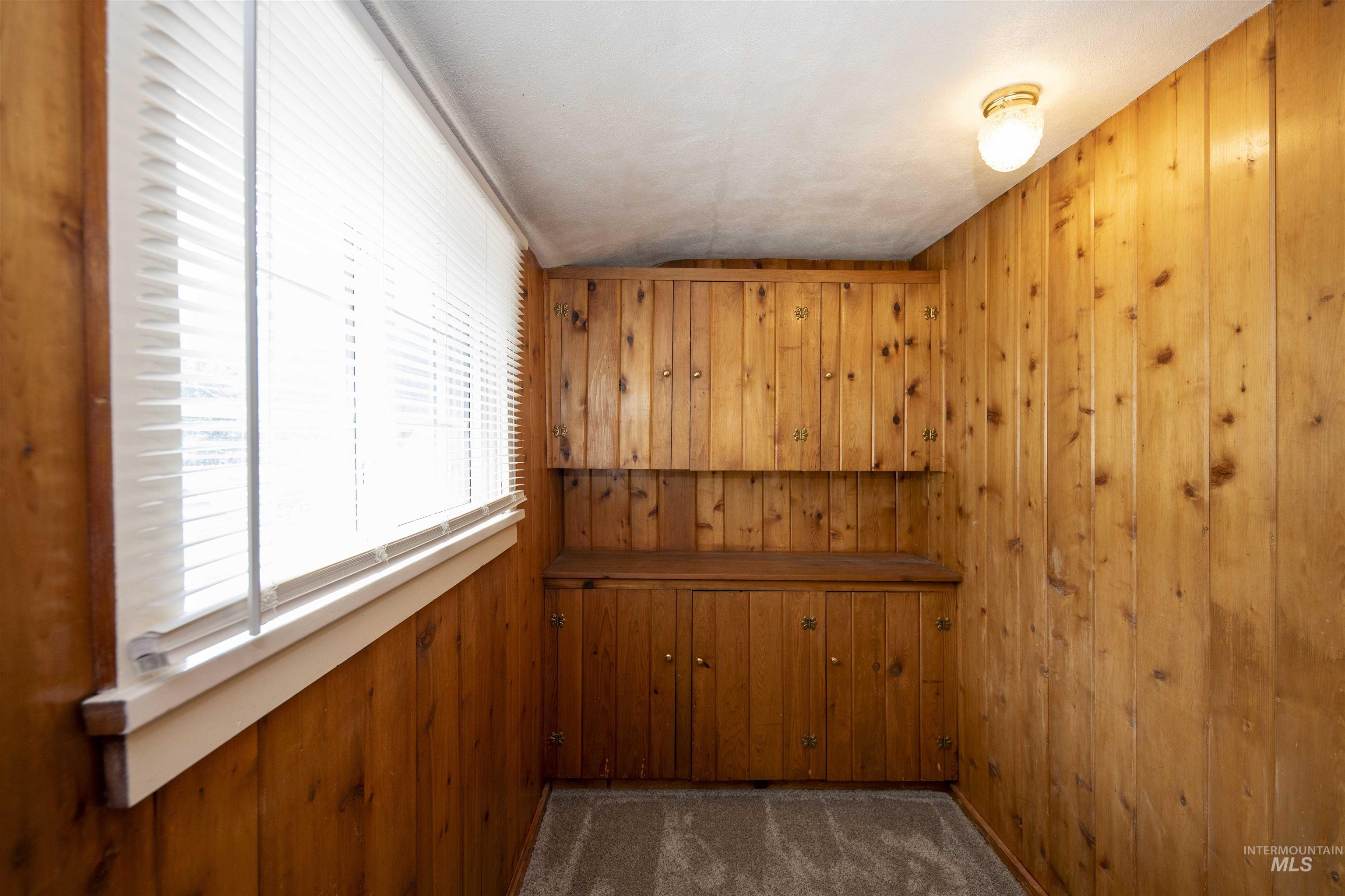 Storage space upstairs in the main house featuring wooden walls and dark carpet