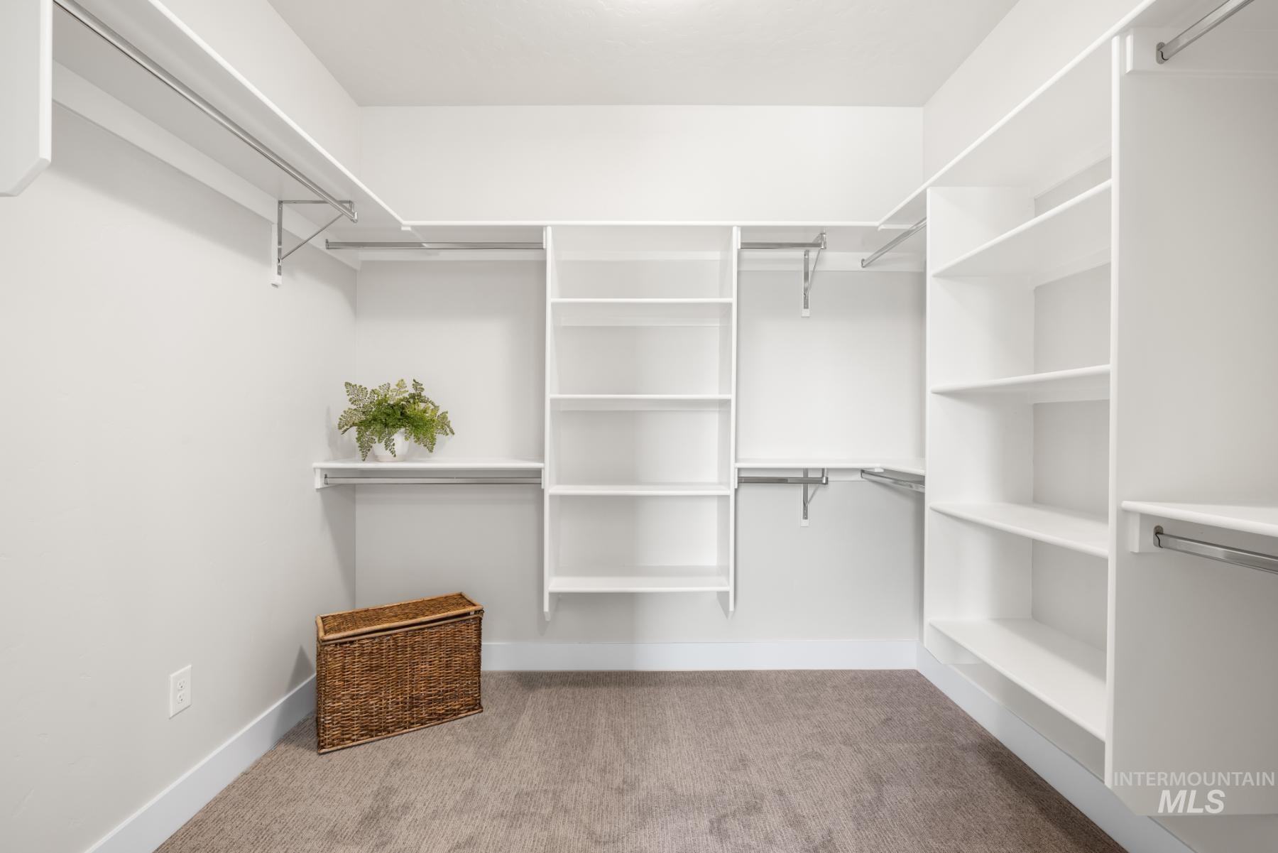 Spacious closet with carpet floors