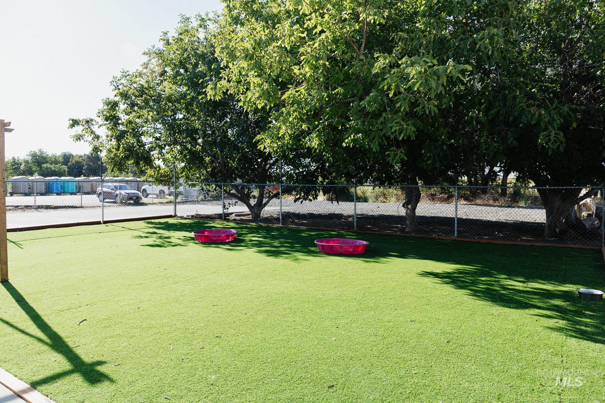 View of yard with a dog friendly area