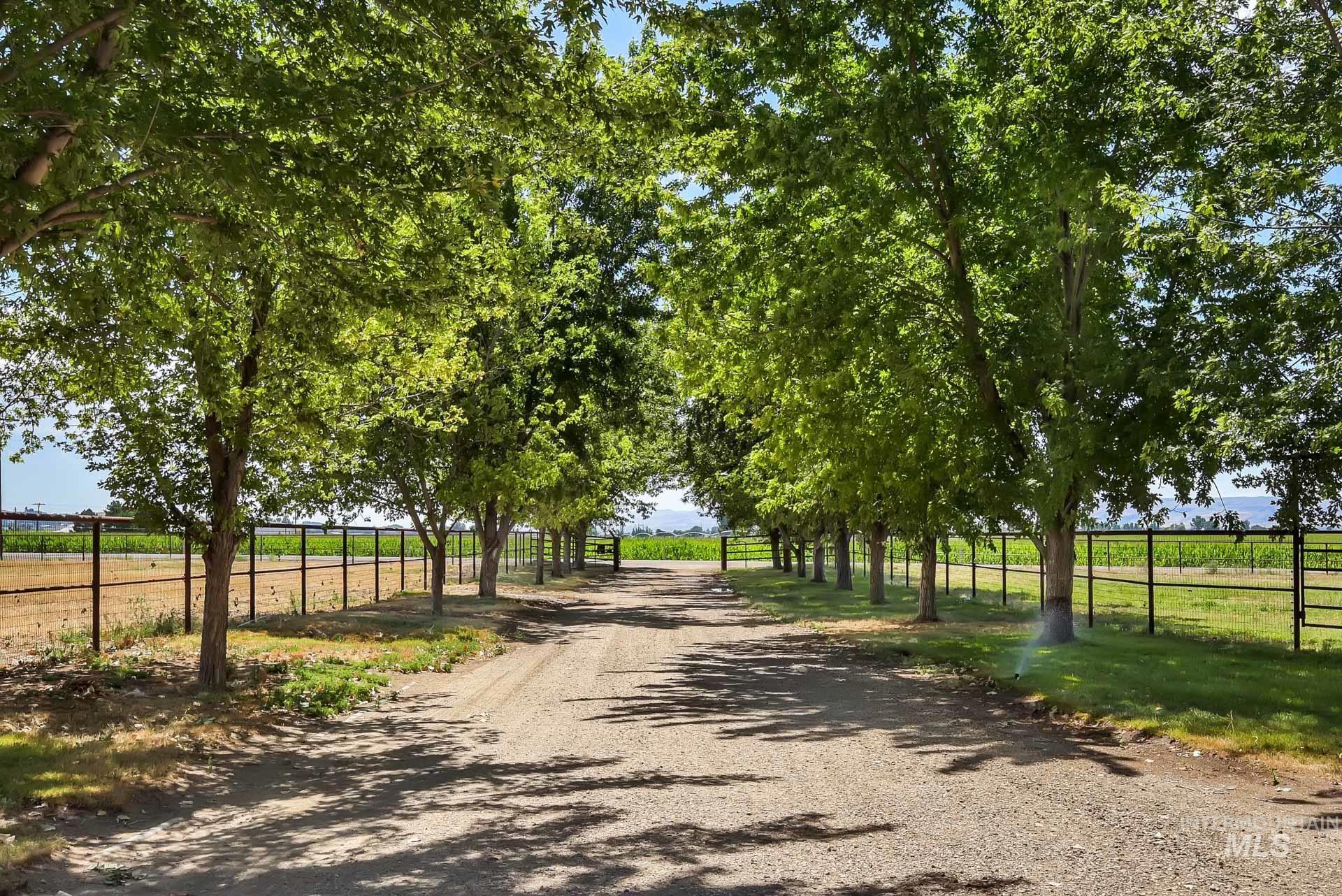 View of dirt / gravel road with a rural view