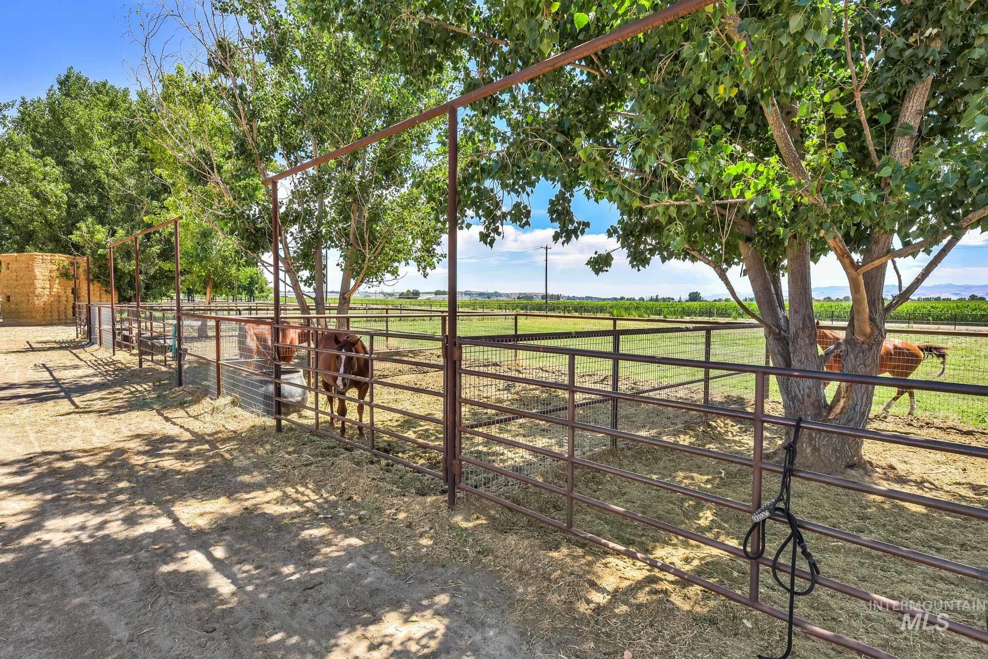 View of yard with a rural view, an exterior structure, and an outdoor structure
