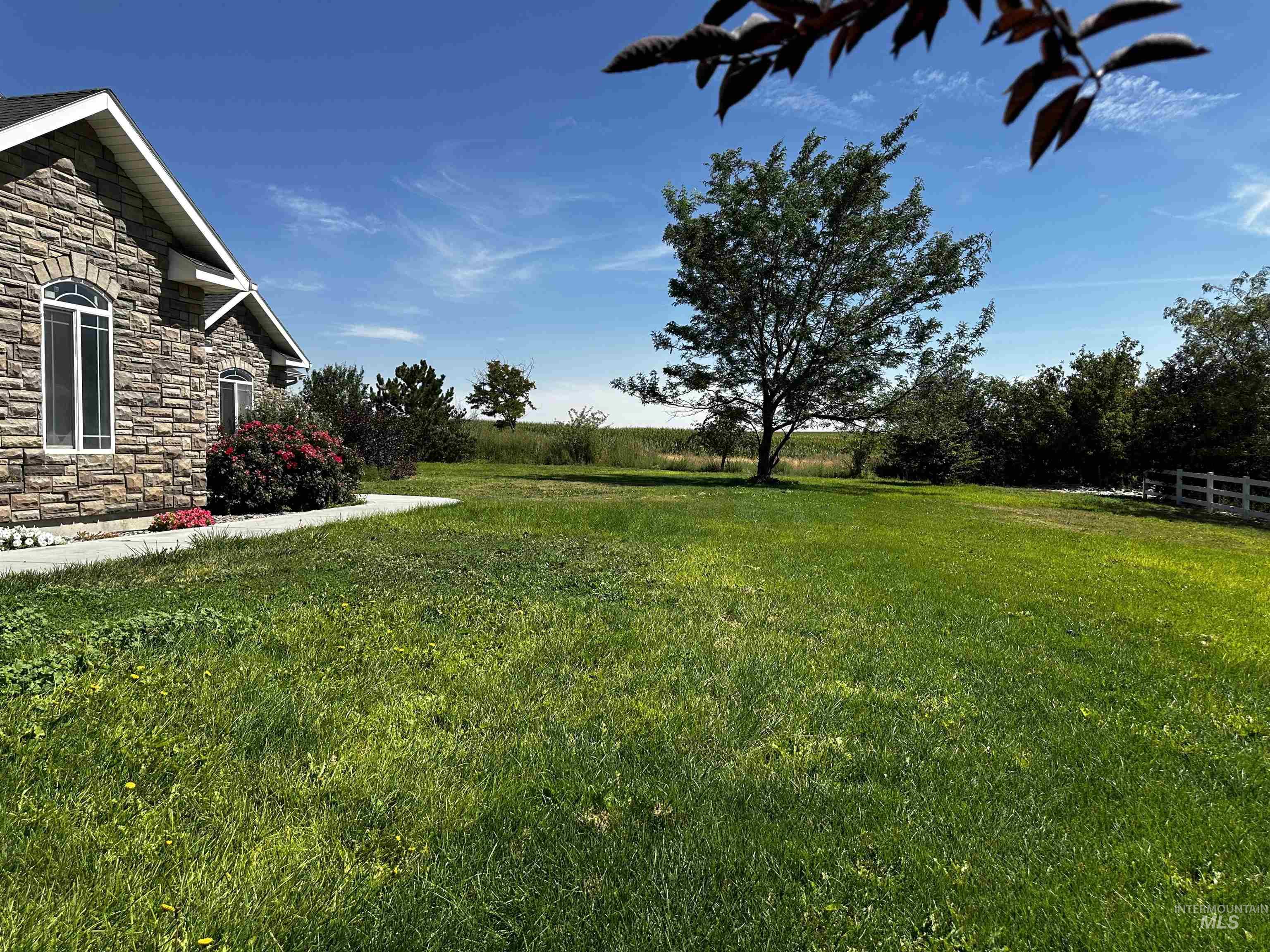 View of green lawn