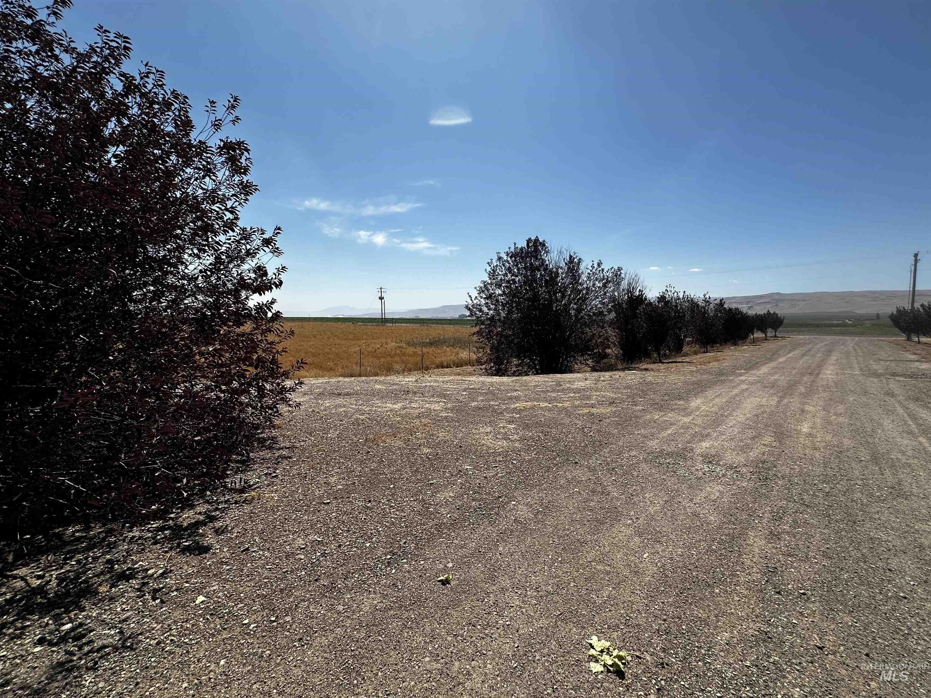 View of yard featuring a rural view