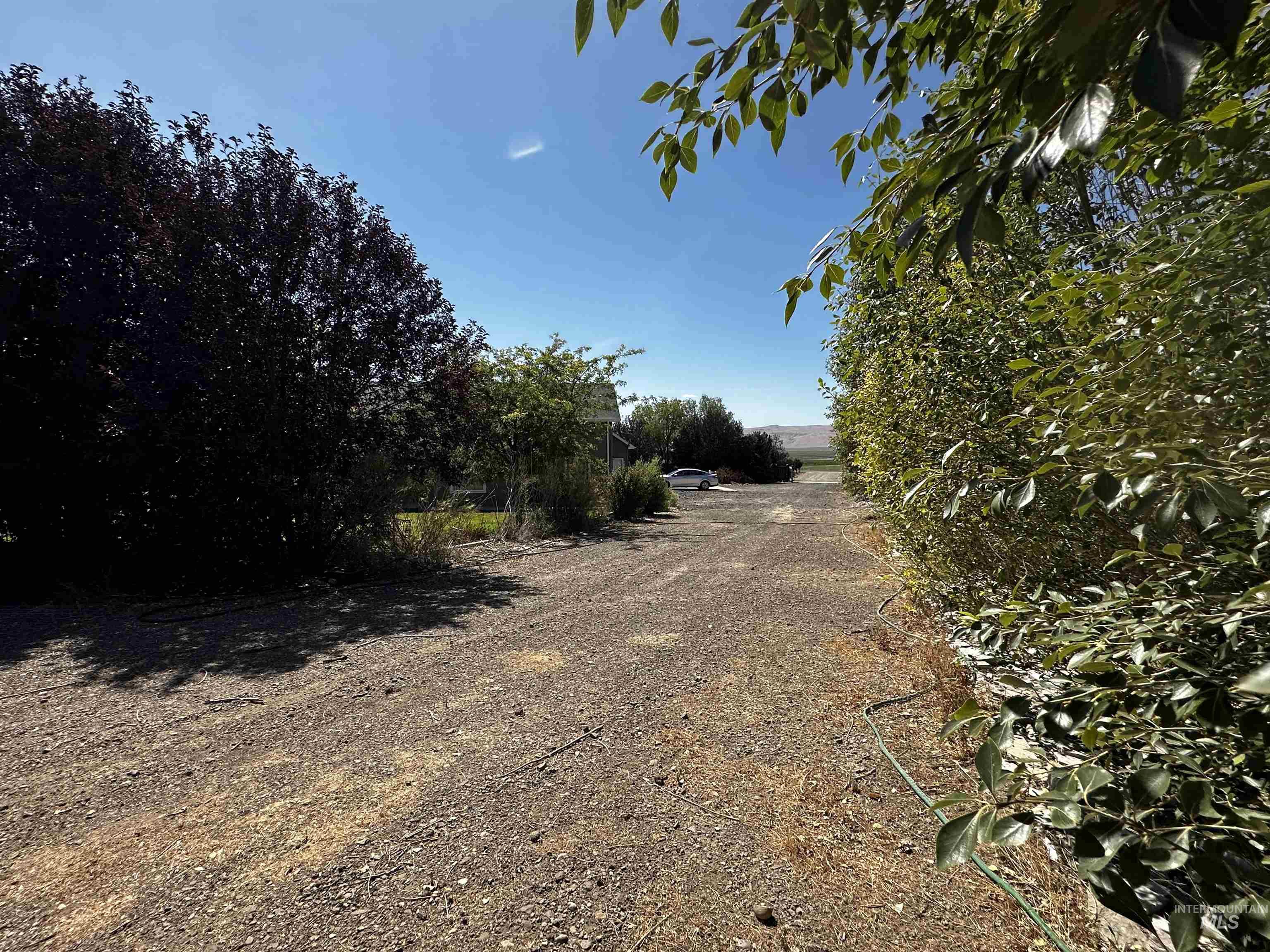 View of street