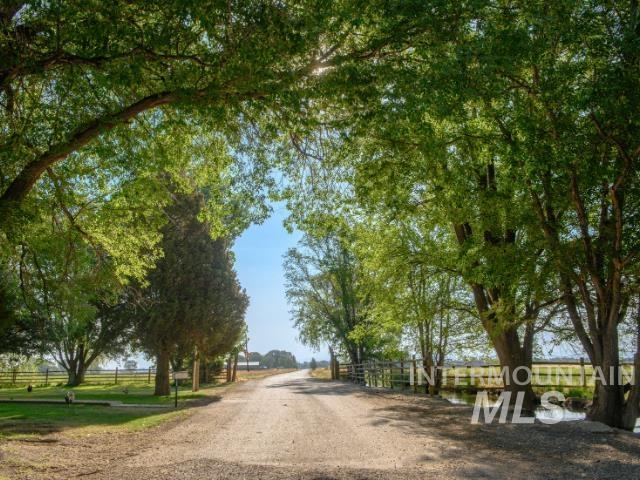 View of road