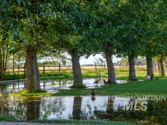 Water view
